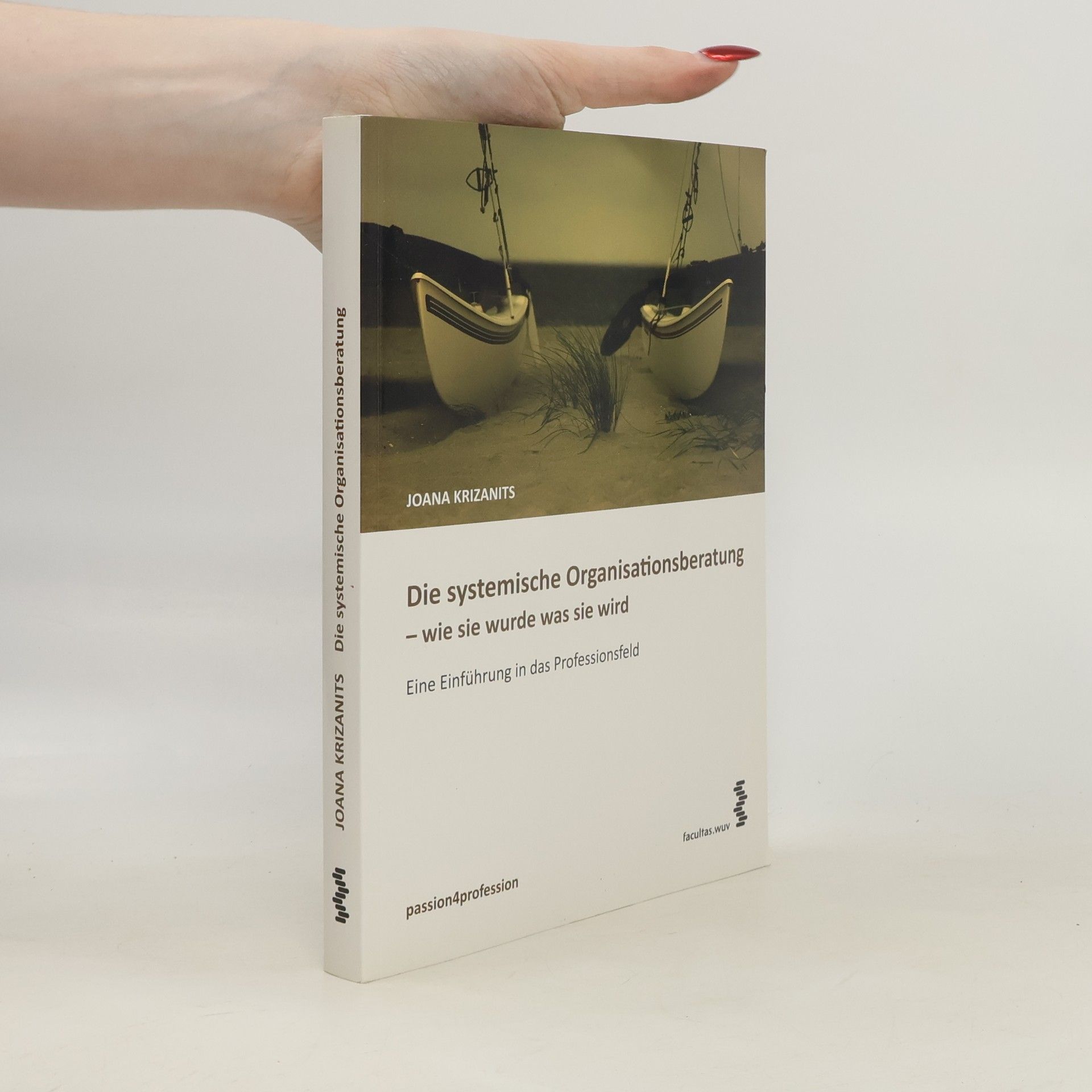 Joana Krizanits Die systemische Organisationsberatung