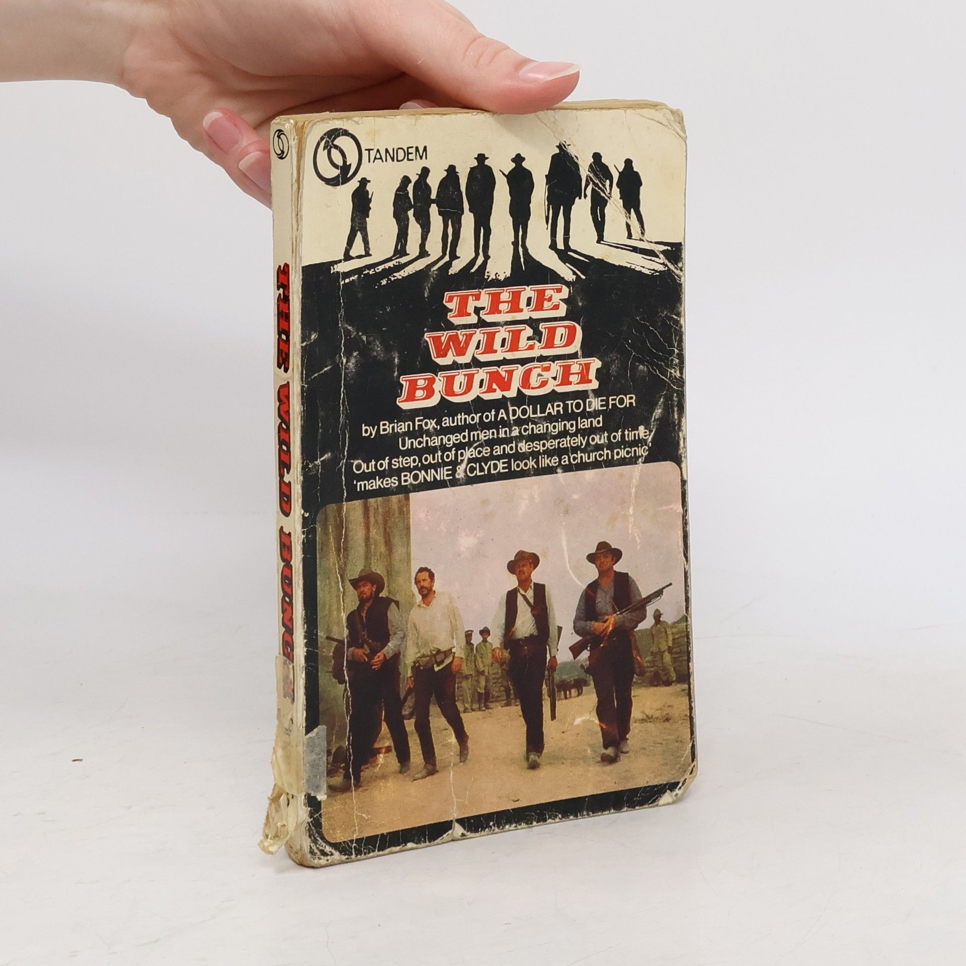 Brian Fox The Wild Bunch