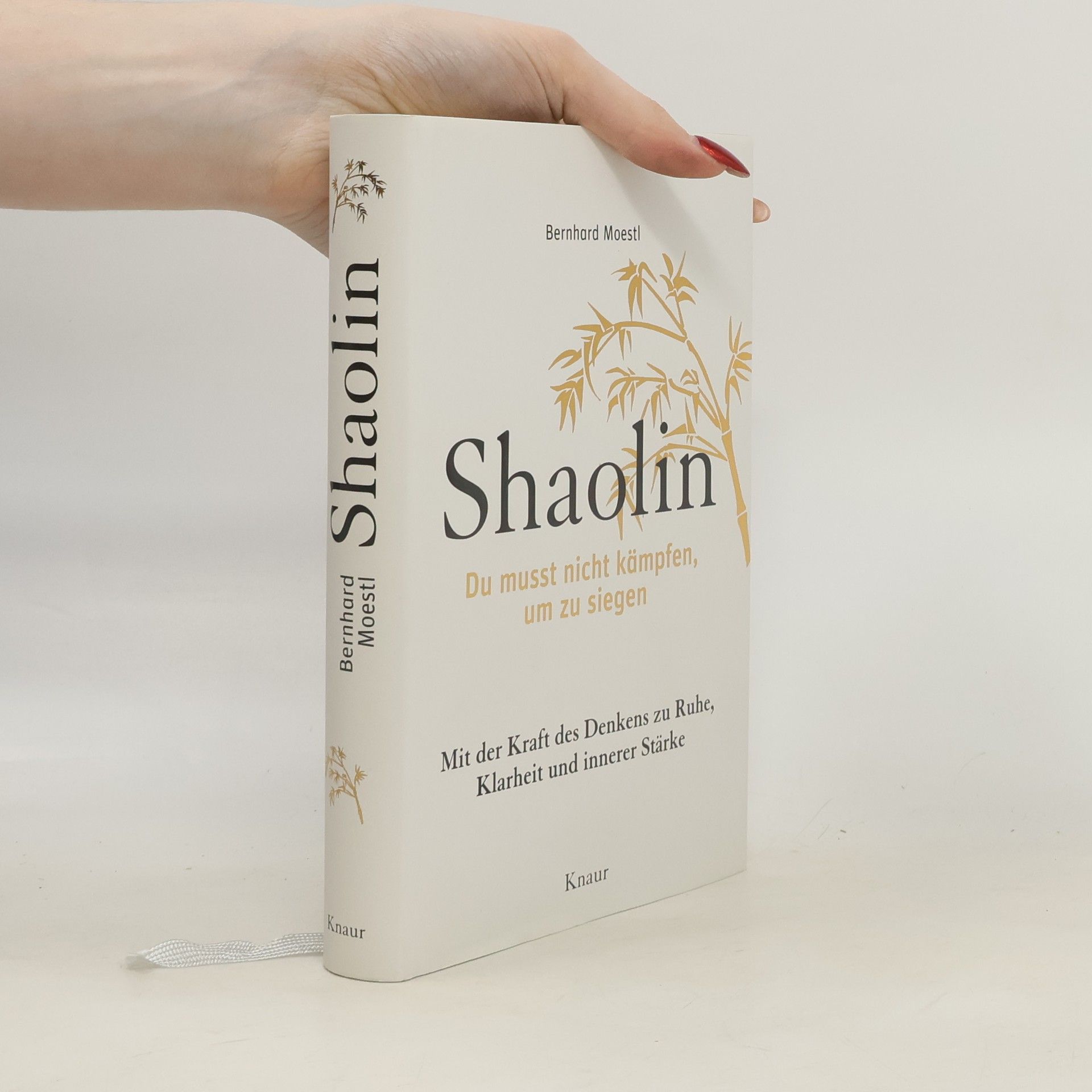 Autorenkollektiv Shaolin