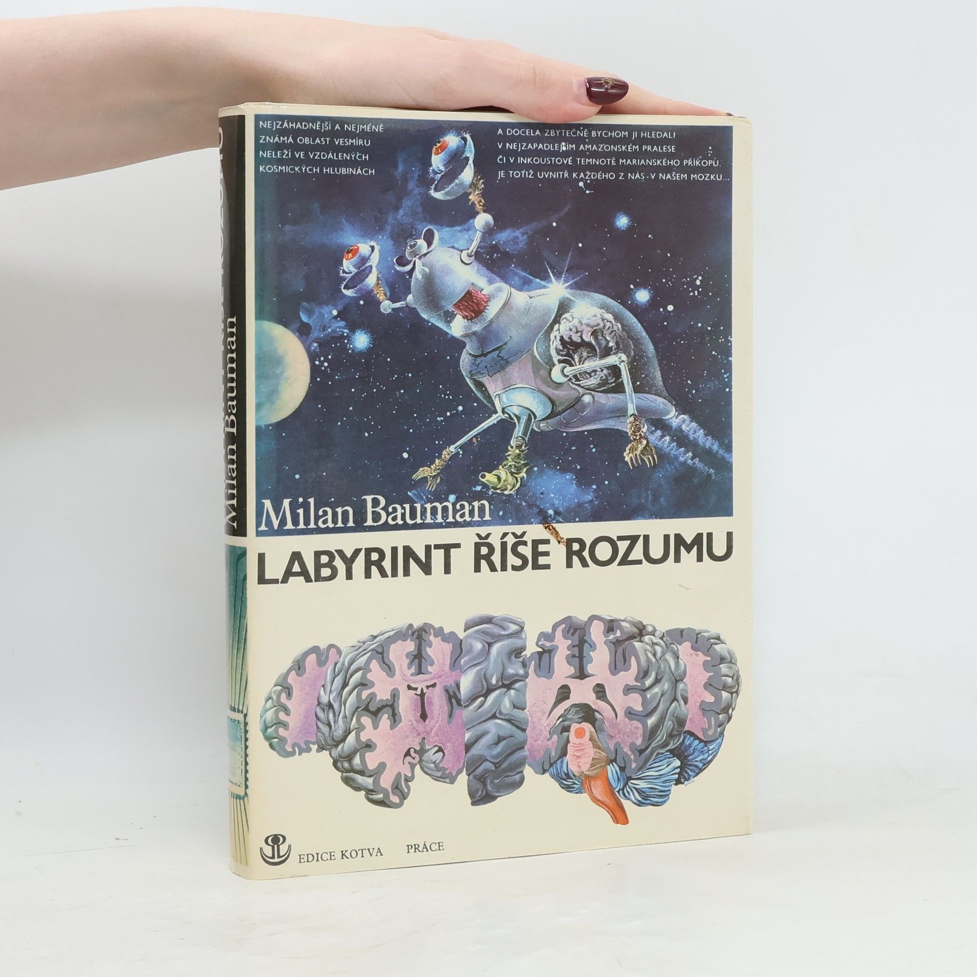 Milan Bauman Labyrint říše rozumu