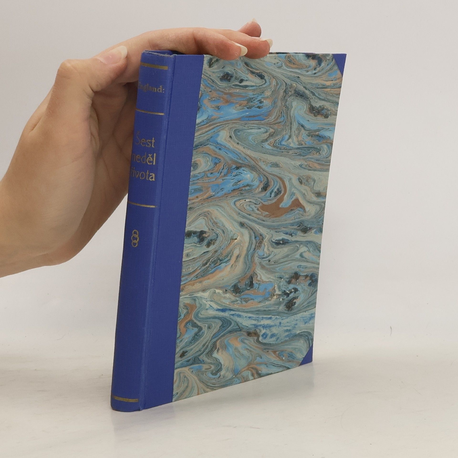 Carlos Manuel Pinheiro Alves Šest neděl života