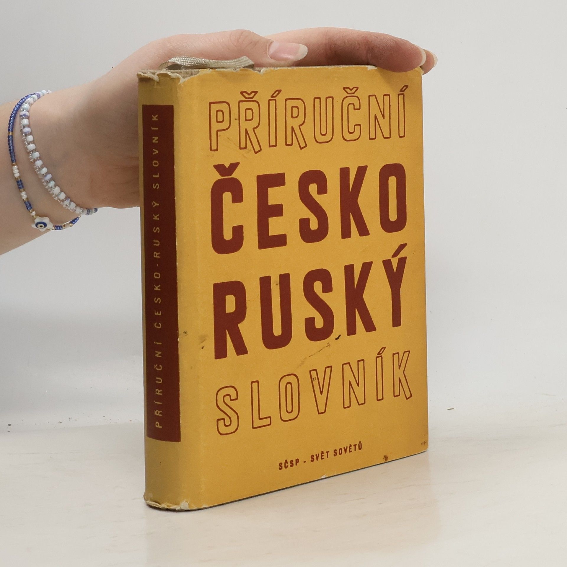 Autorenkollektiv Příruční česko-ruský slovník