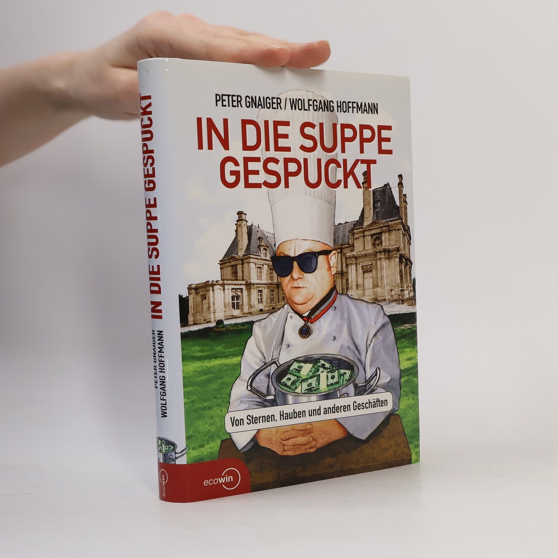 Wolfgang Hoffmann-Riem In die Suppe gespuckt