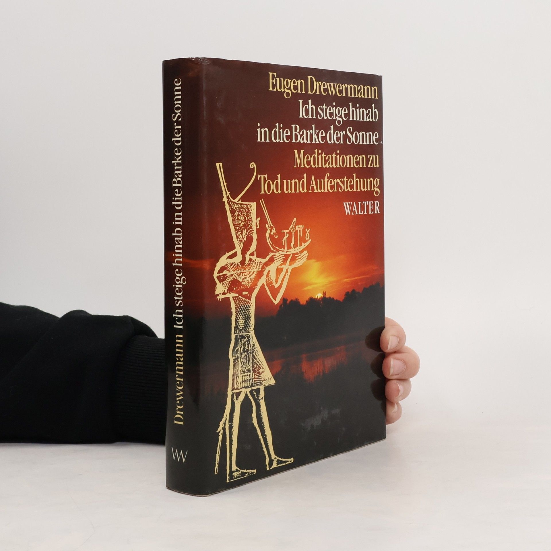 Ich steige hinab in die Barke der Sonne