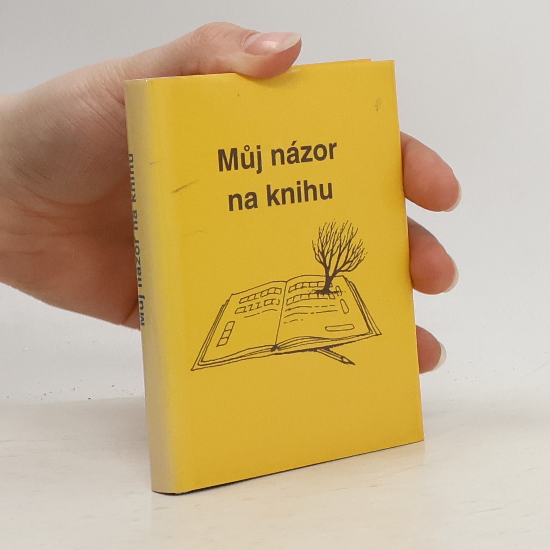 Vratislav Ebr Můj názor na knihu