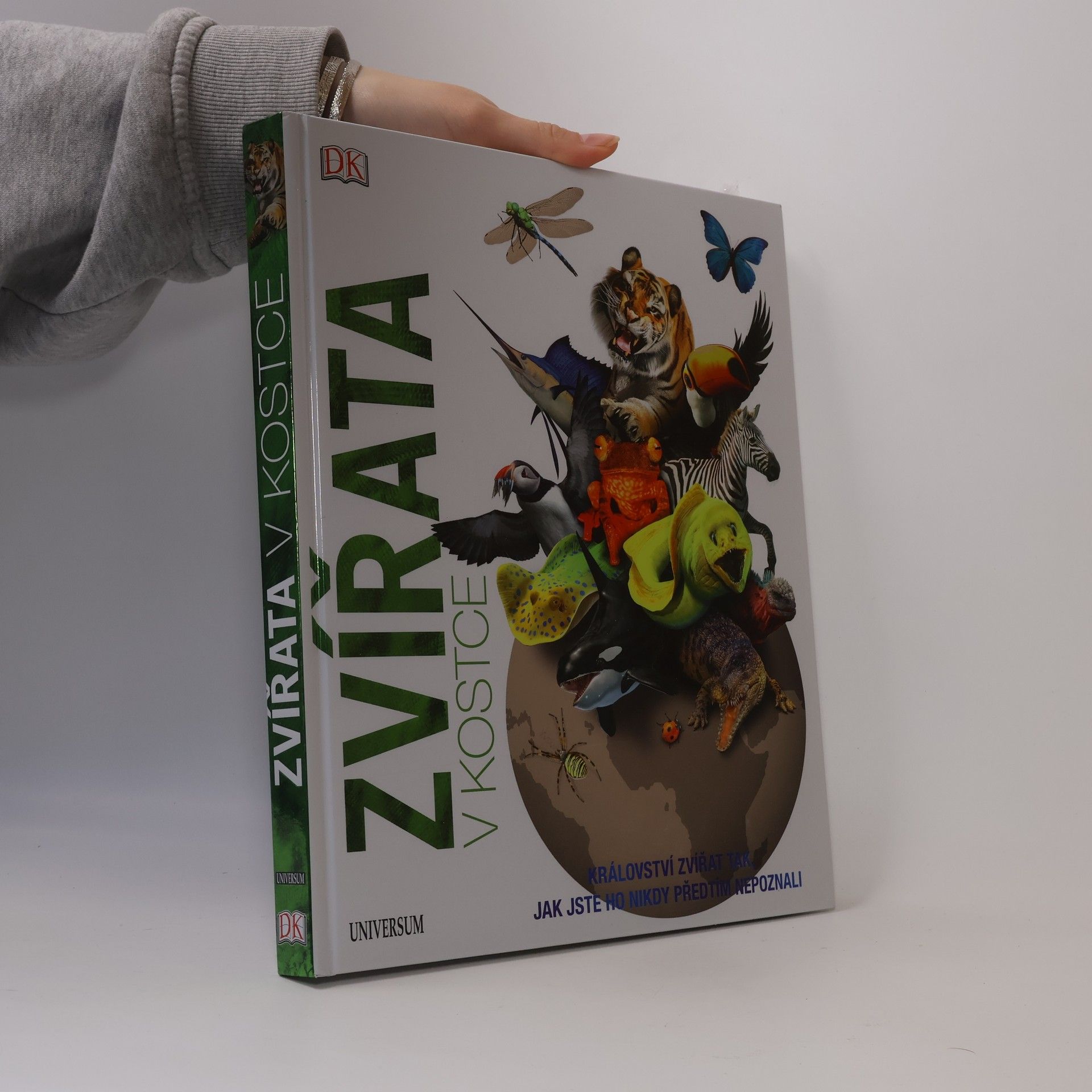 Collectif d'auteurs Zvířata v kostce