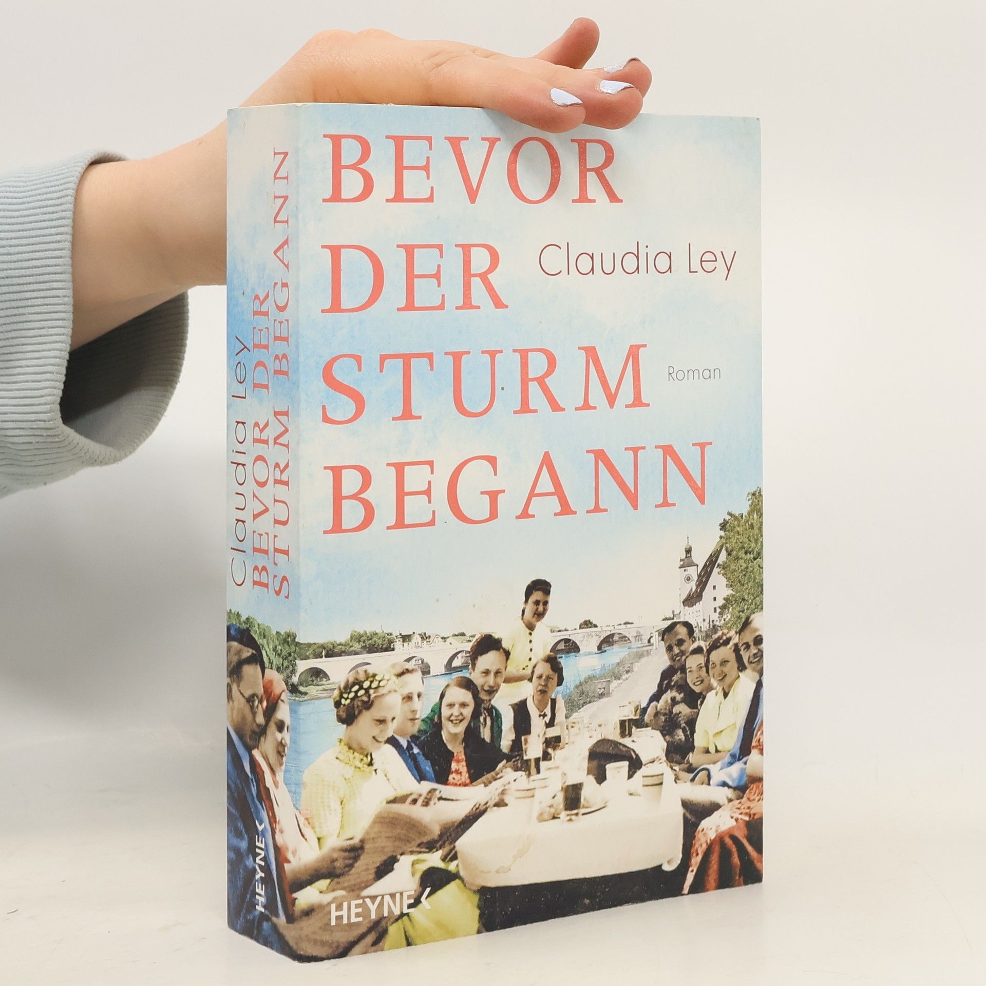 Claudia Ley Bevor der Sturm begann