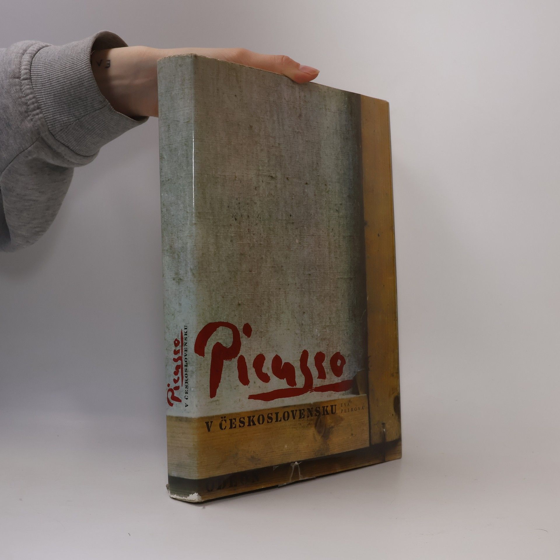 Eva Petrová Picasso v Československu