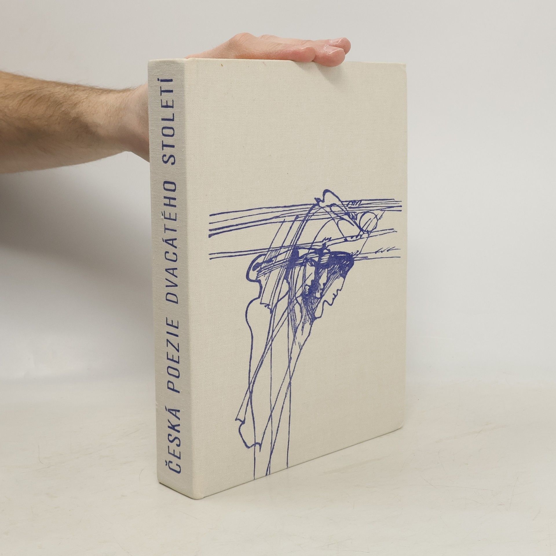 Autorenkollektiv Česká poezie dvacátého století