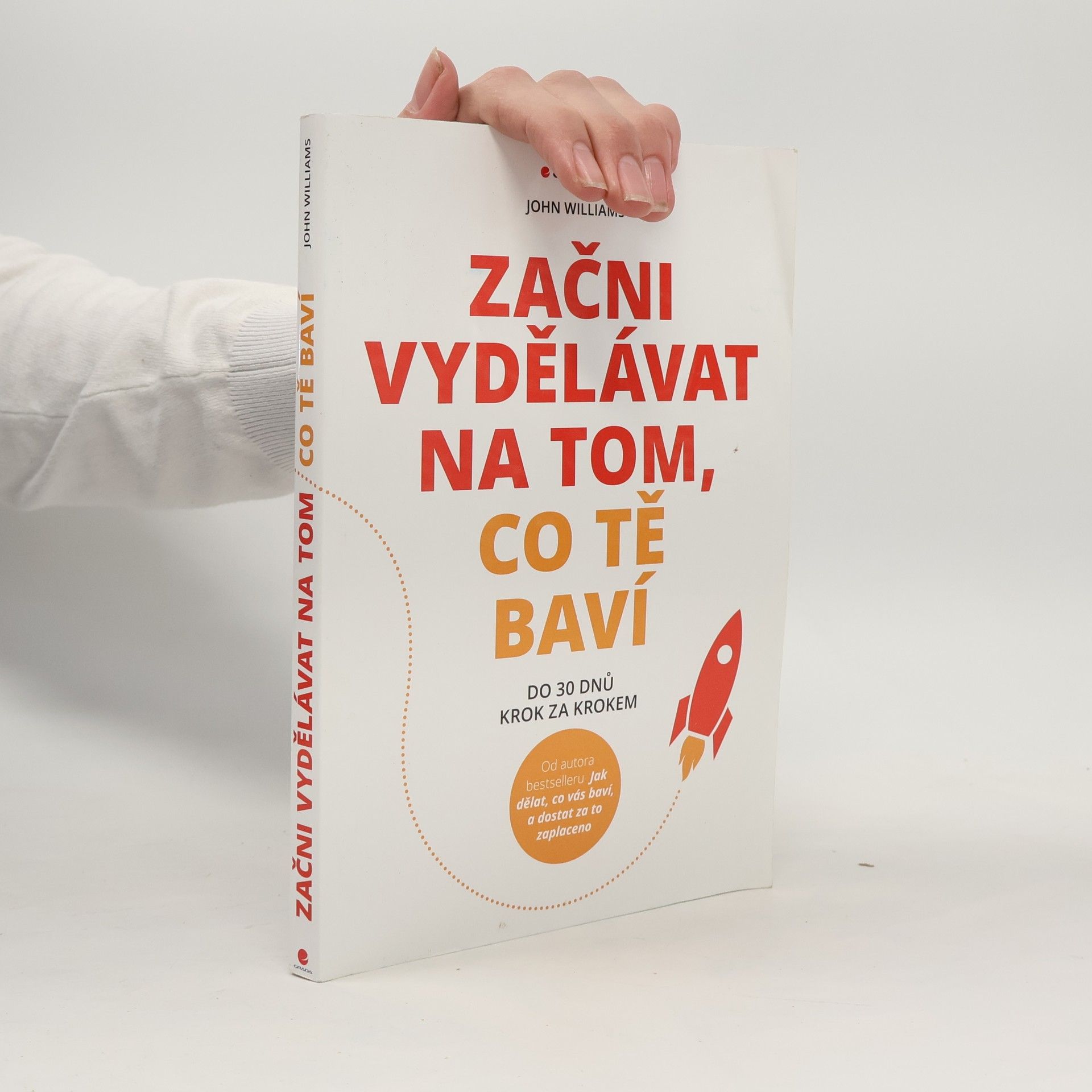 John Williams Začni vydělávat na tom, co tě baví : Do 30 dnů krok za krokem