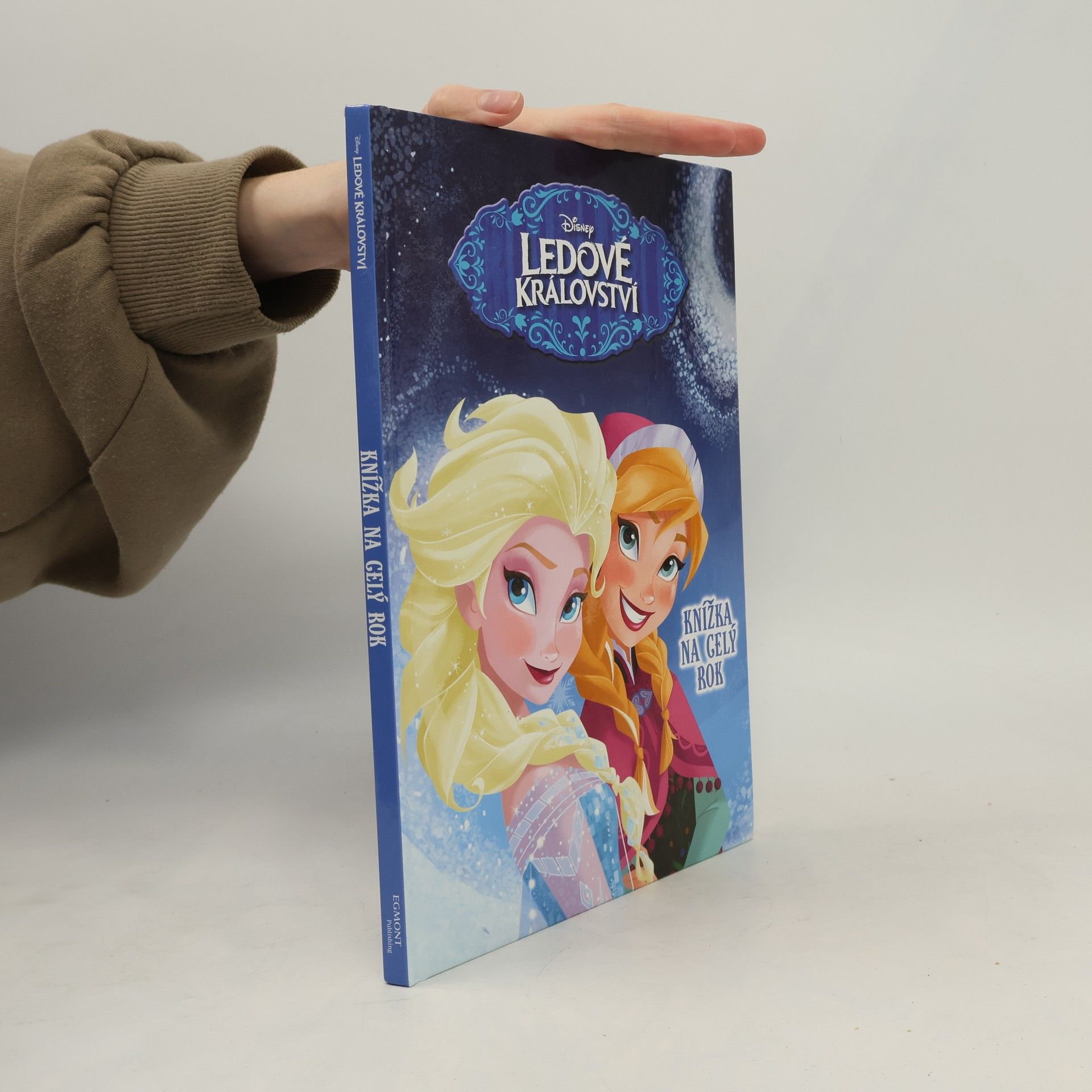 Walt Disney Ledové království - Knížka na celý rok