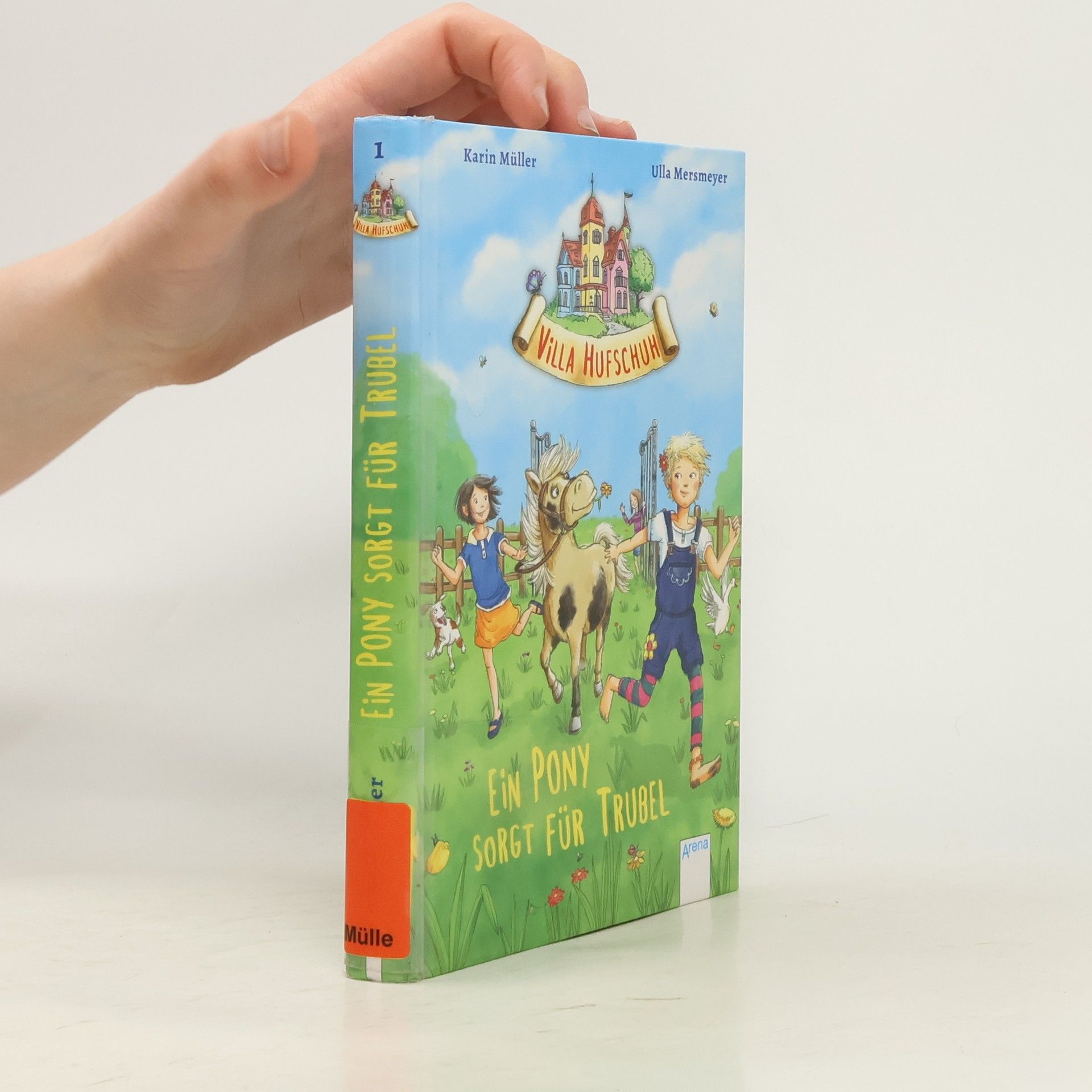 Karin Elke Ein Pony sorgt für Trubel