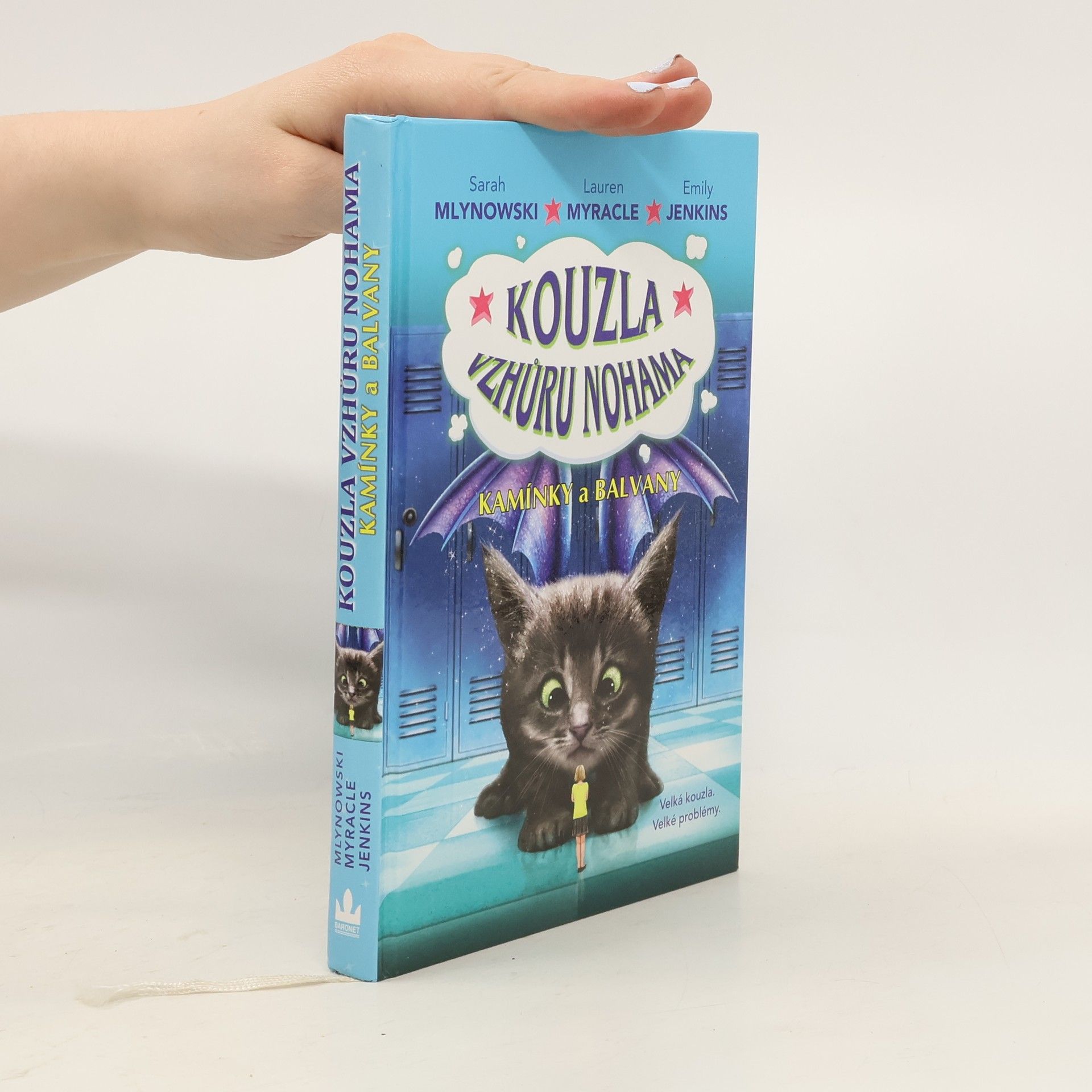 Sarah Mlynowski Kamínky a balvany