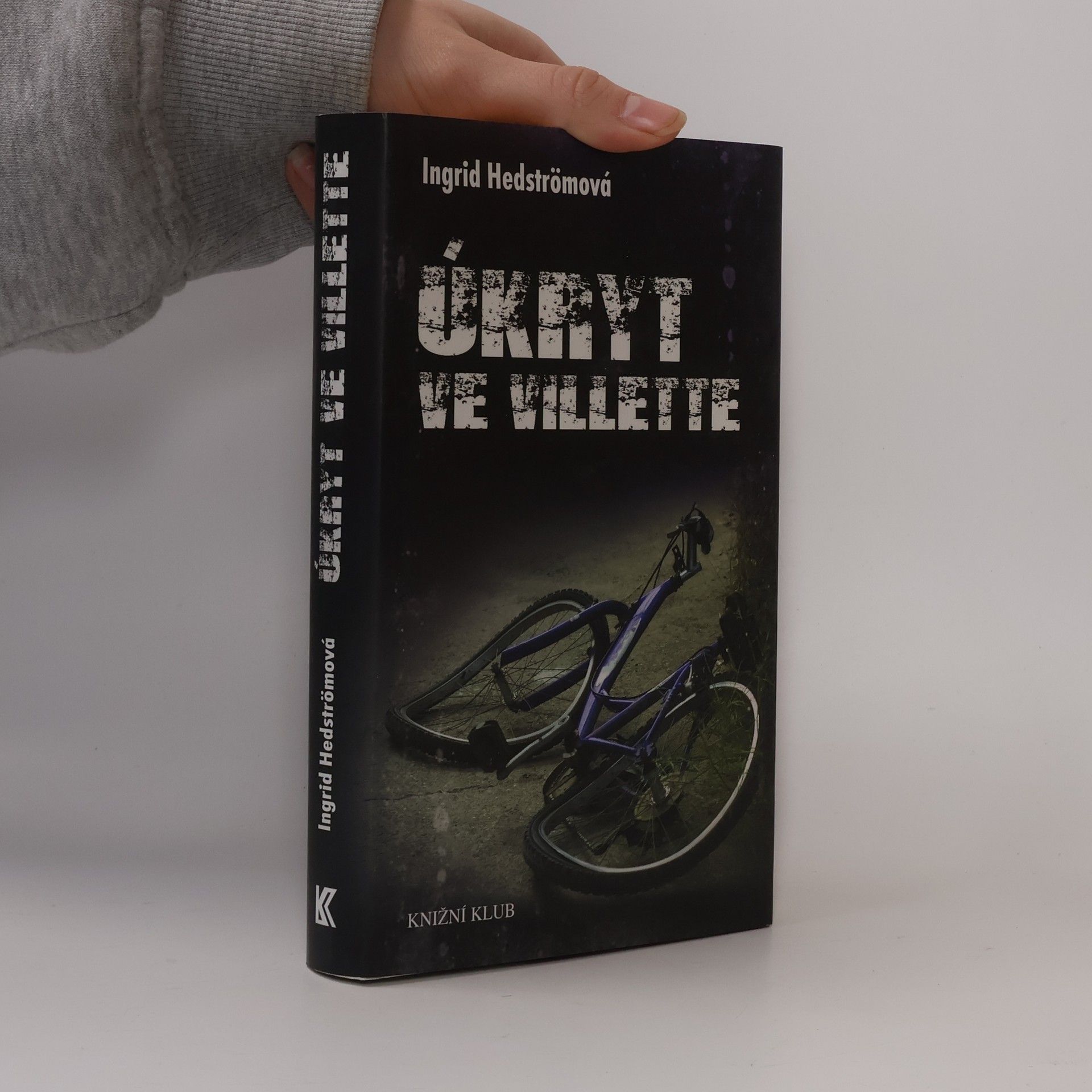 Ingrid Hedström Úkryt ve Villette