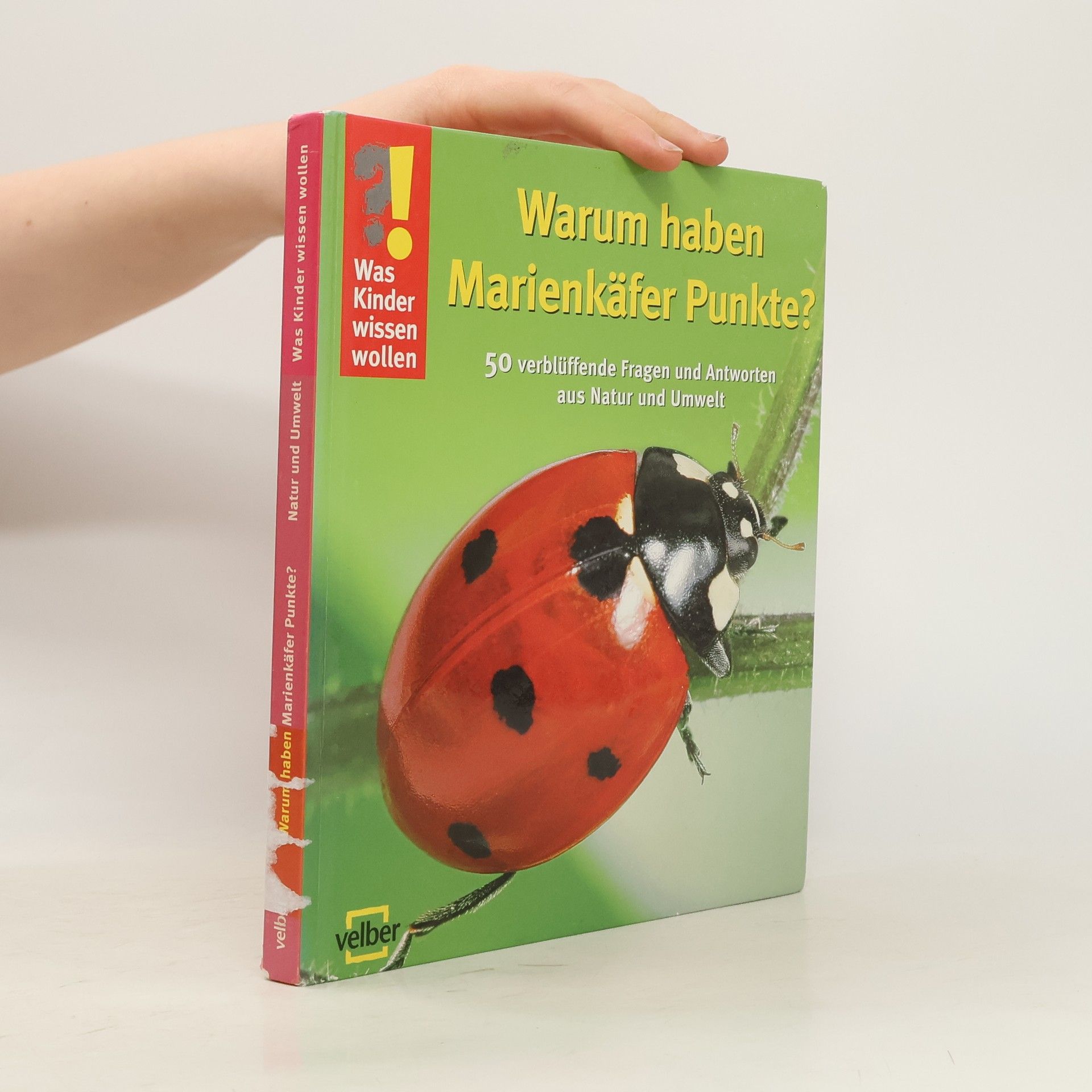 Was Kinder wissen wollen: Warum haben Marienkäfer Punkte?