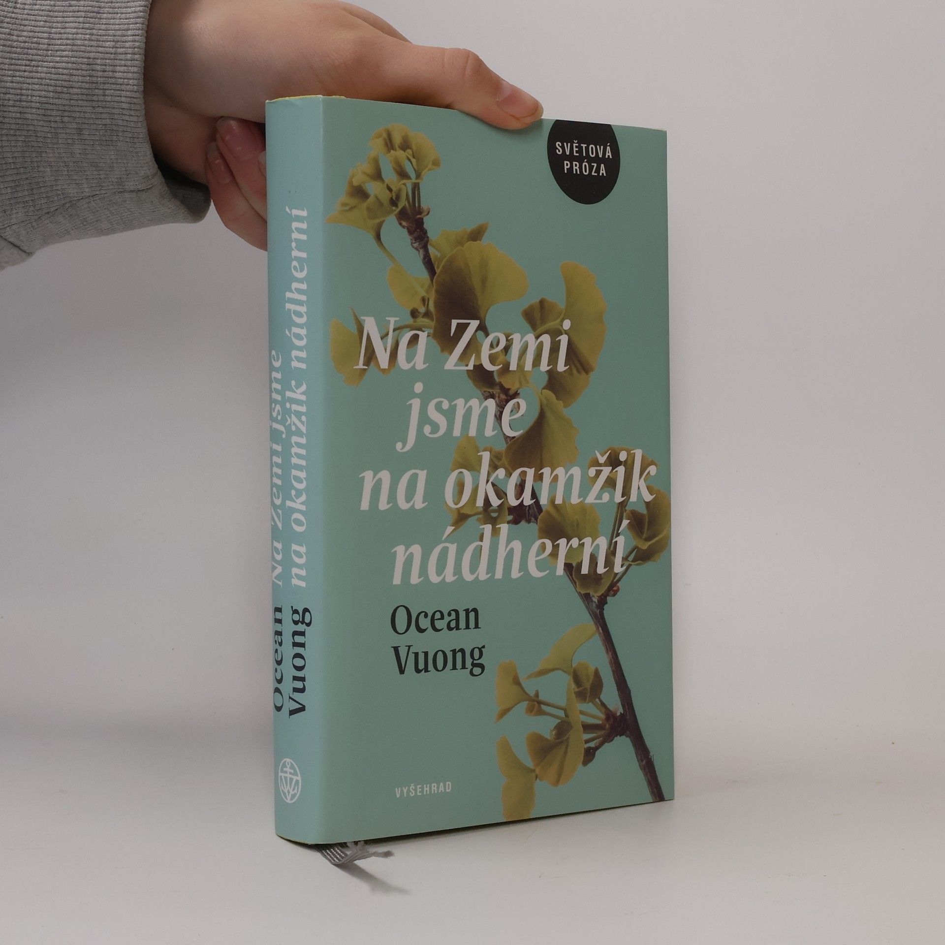 Ocean Vuong Na Zemi jsme na okamžik nádherní