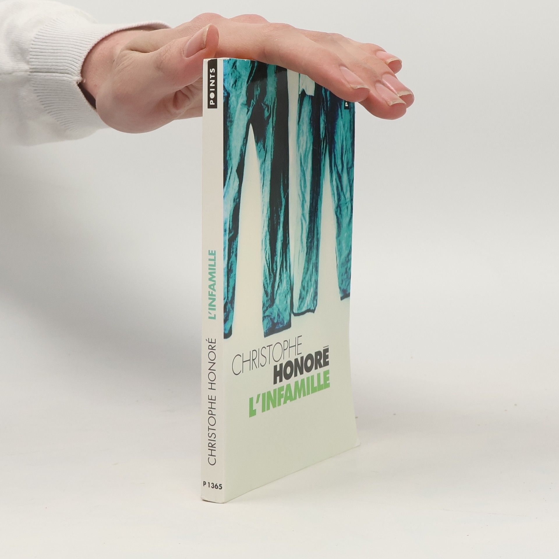 Christophe Honore L'Infamille