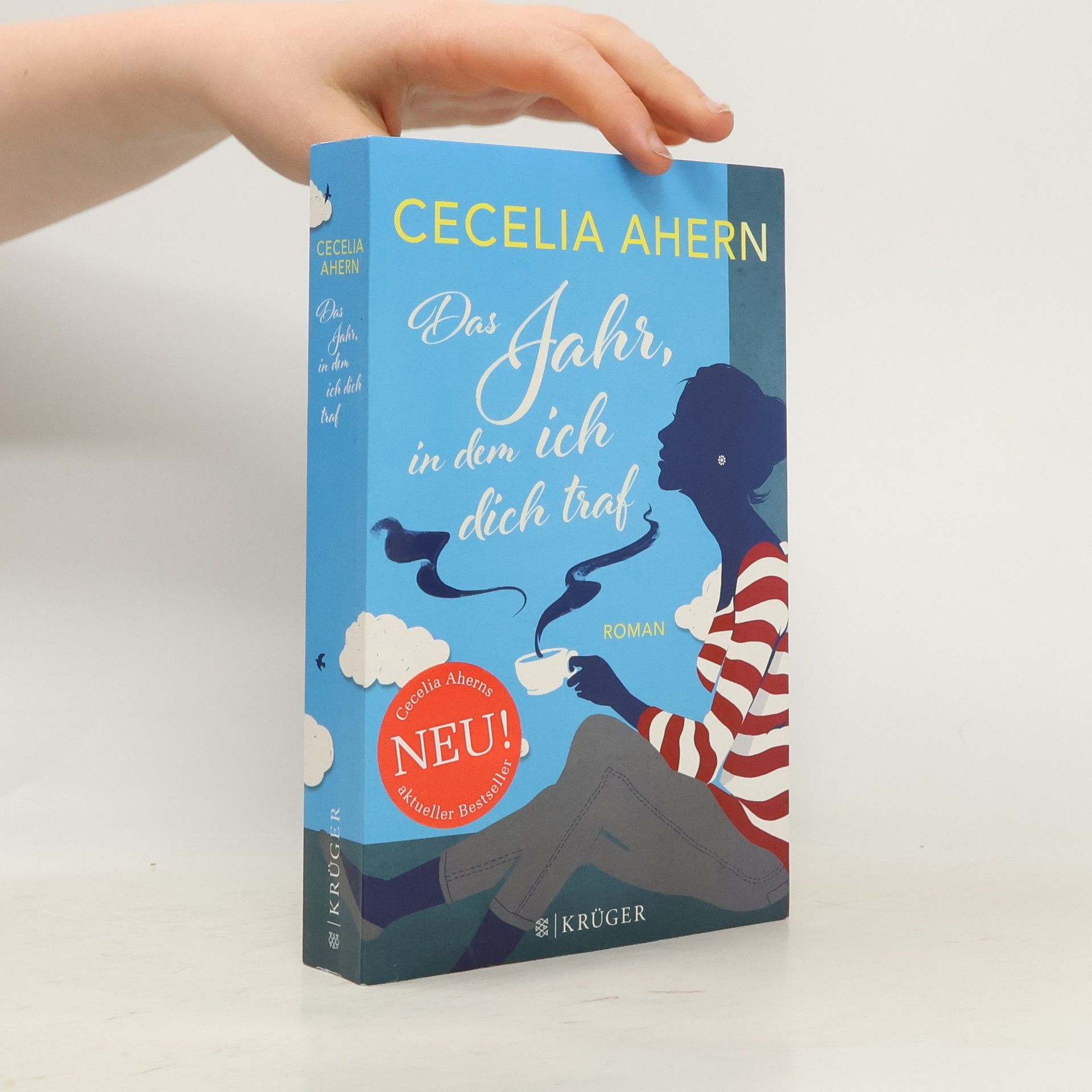 Cecelia Ahern Das Jahr, in dem ich dich traf