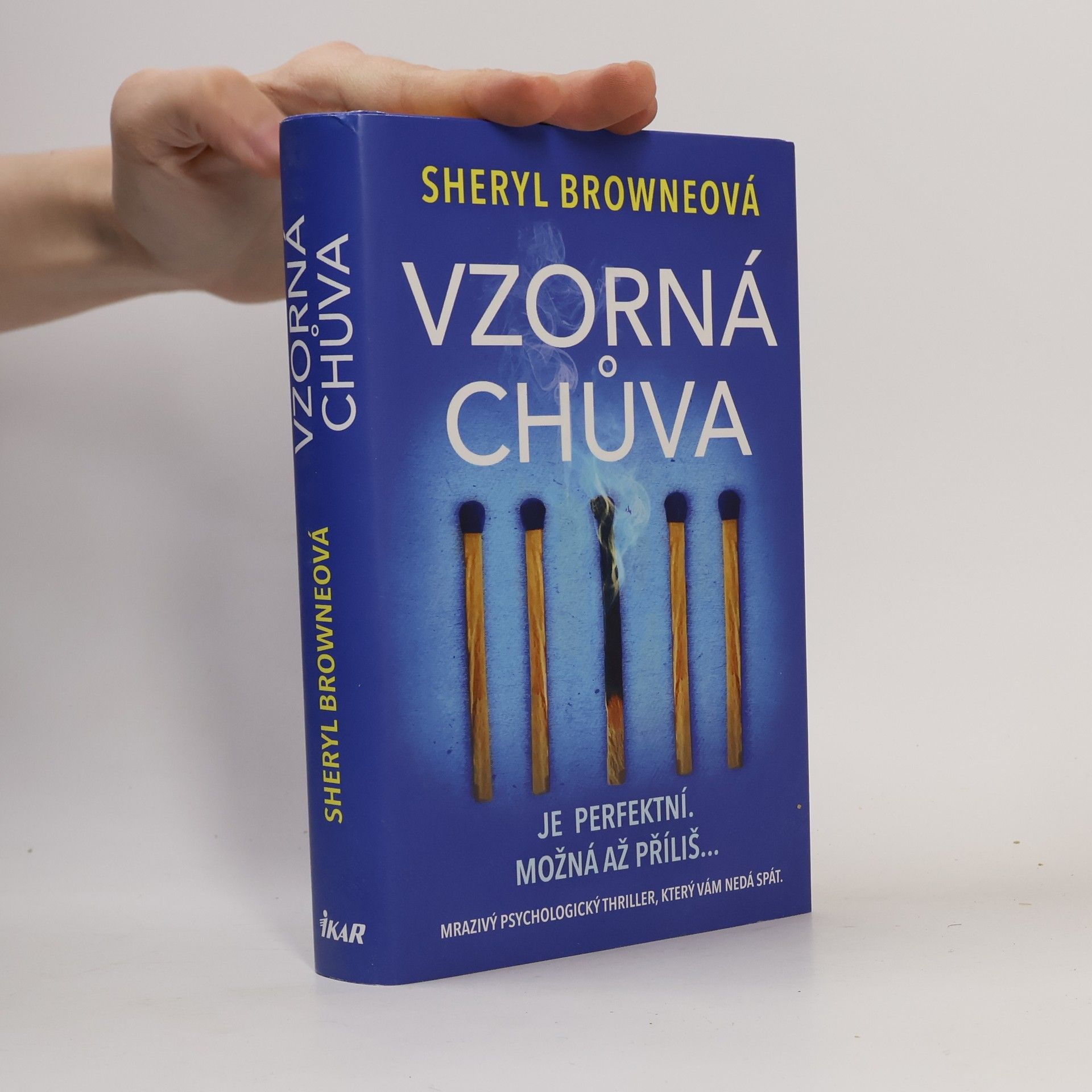 Sheryl Browne Vzorná chůva