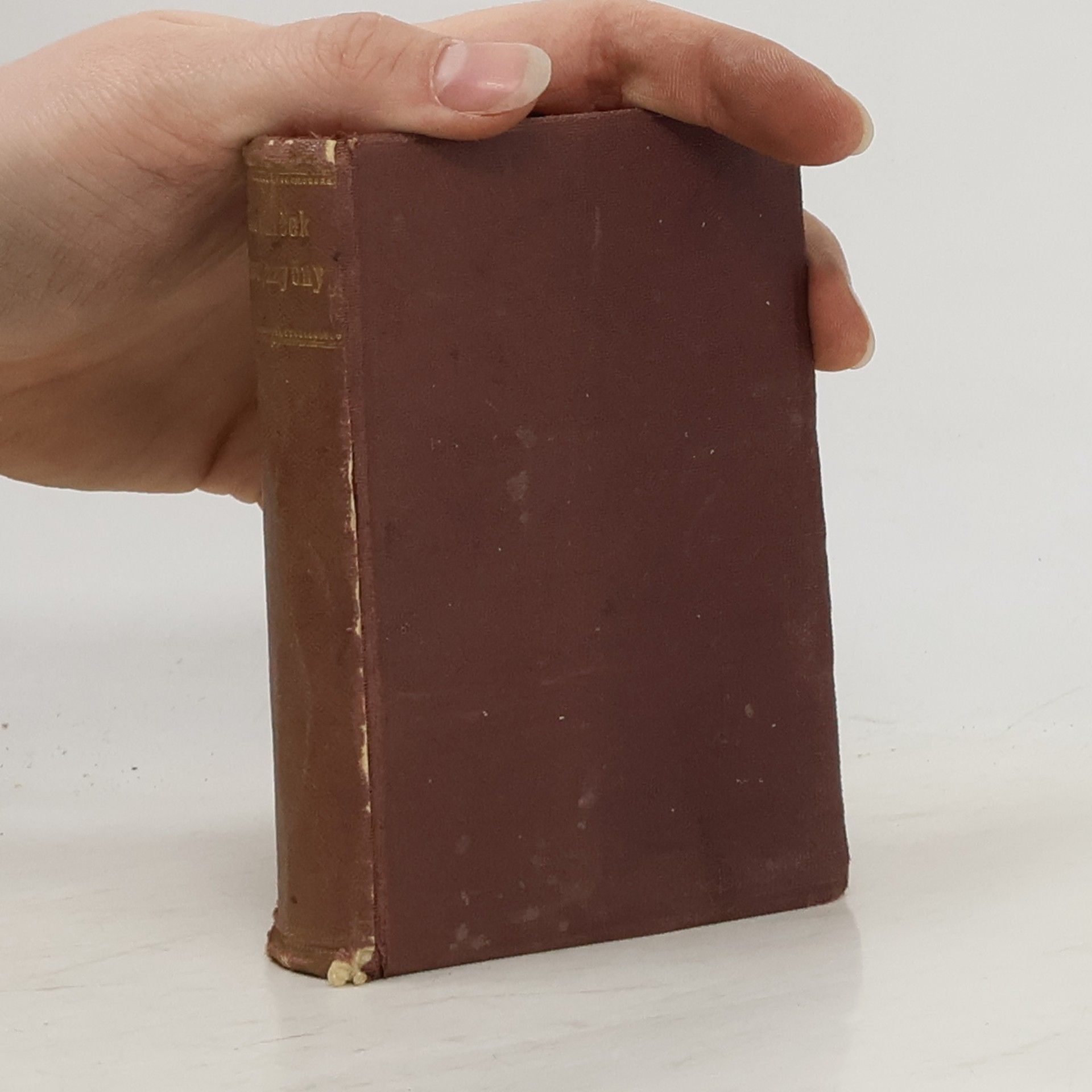 František Soukup Cizojazyčný slovníček