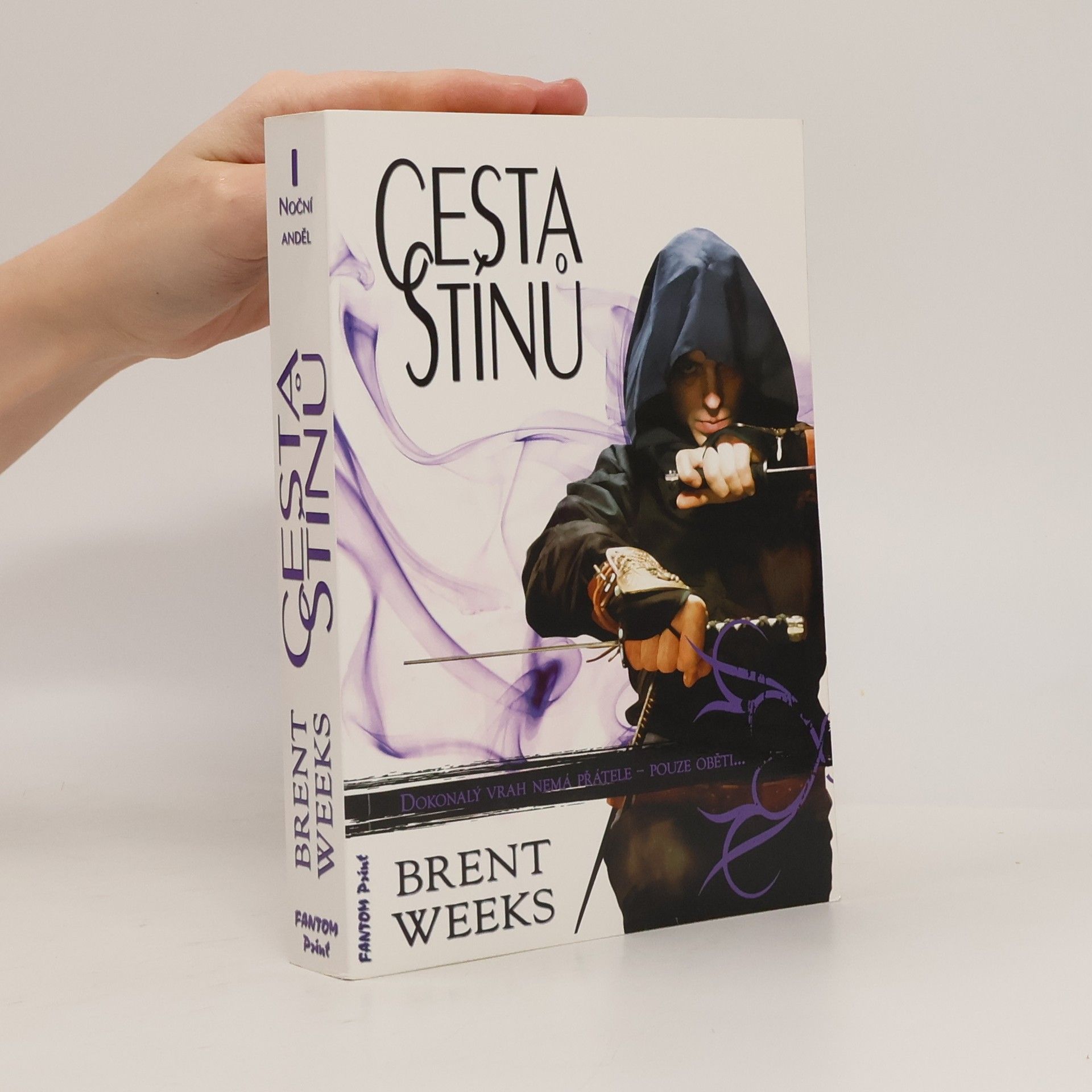 Brent Weeks Cesta stínů