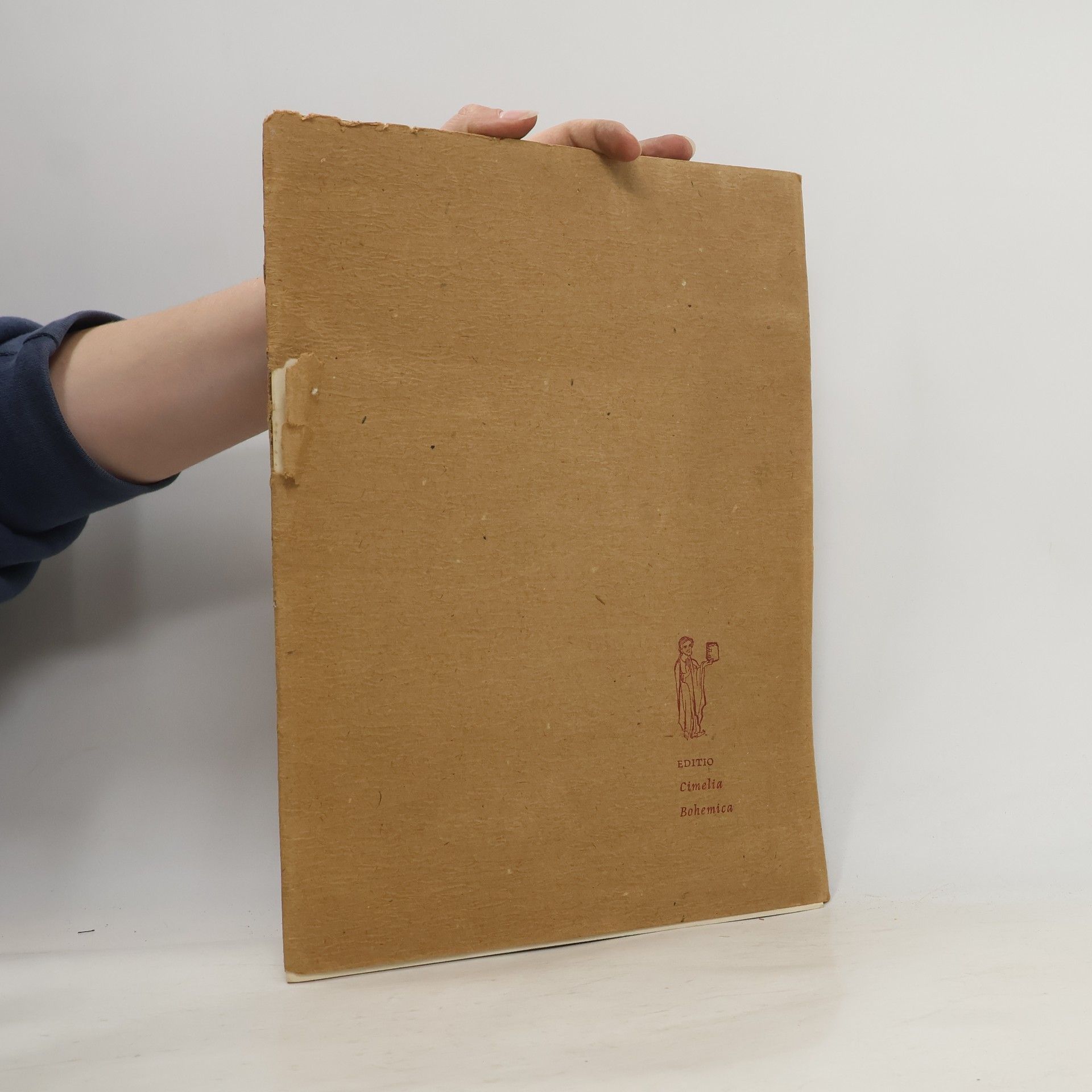 Collectif d'auteurs Velislavova bible. Velislai biblia picta. Velislaus Bible