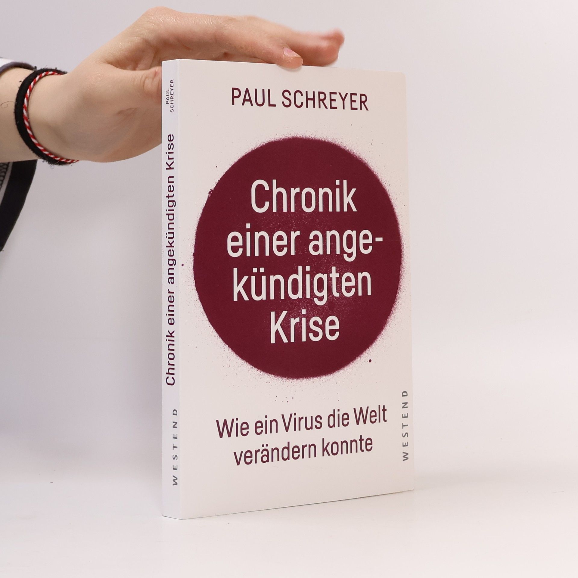 Paul Schreyer Chronik einer angekündigten Krise