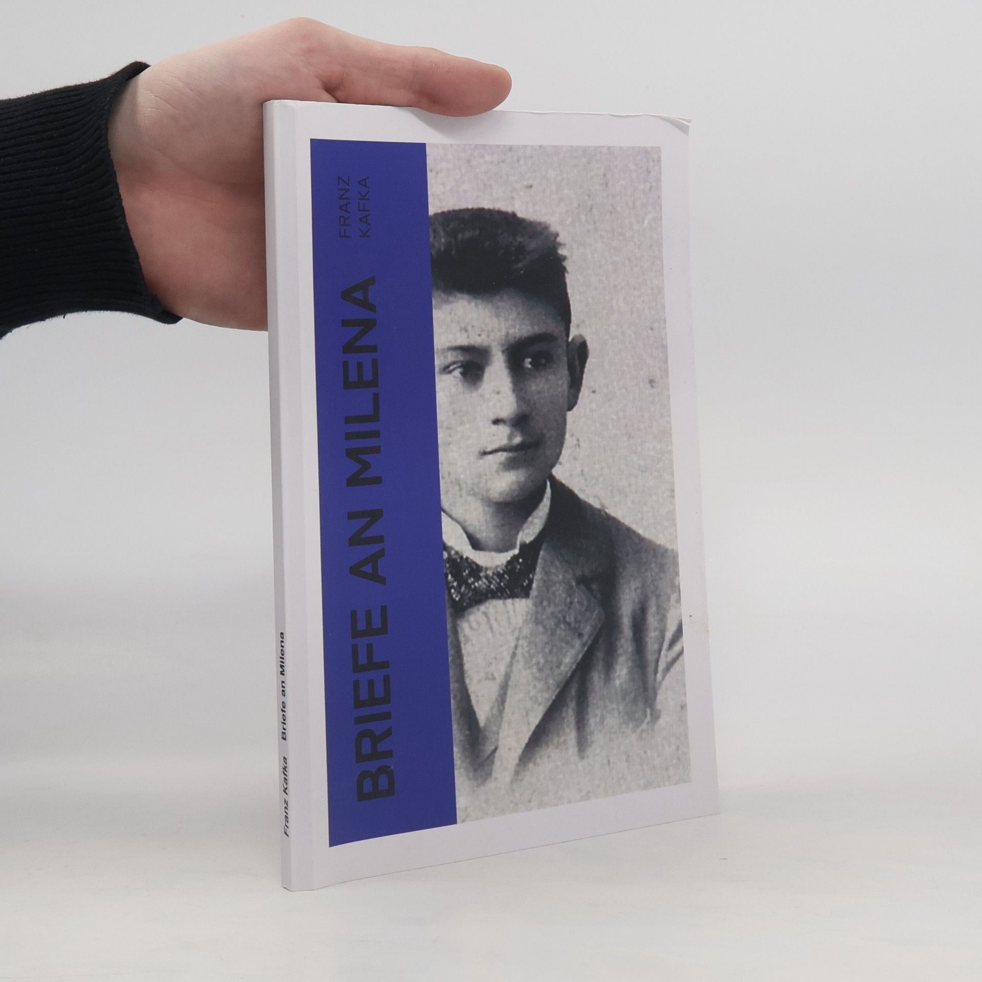Franz Kafka Briefe an Milena