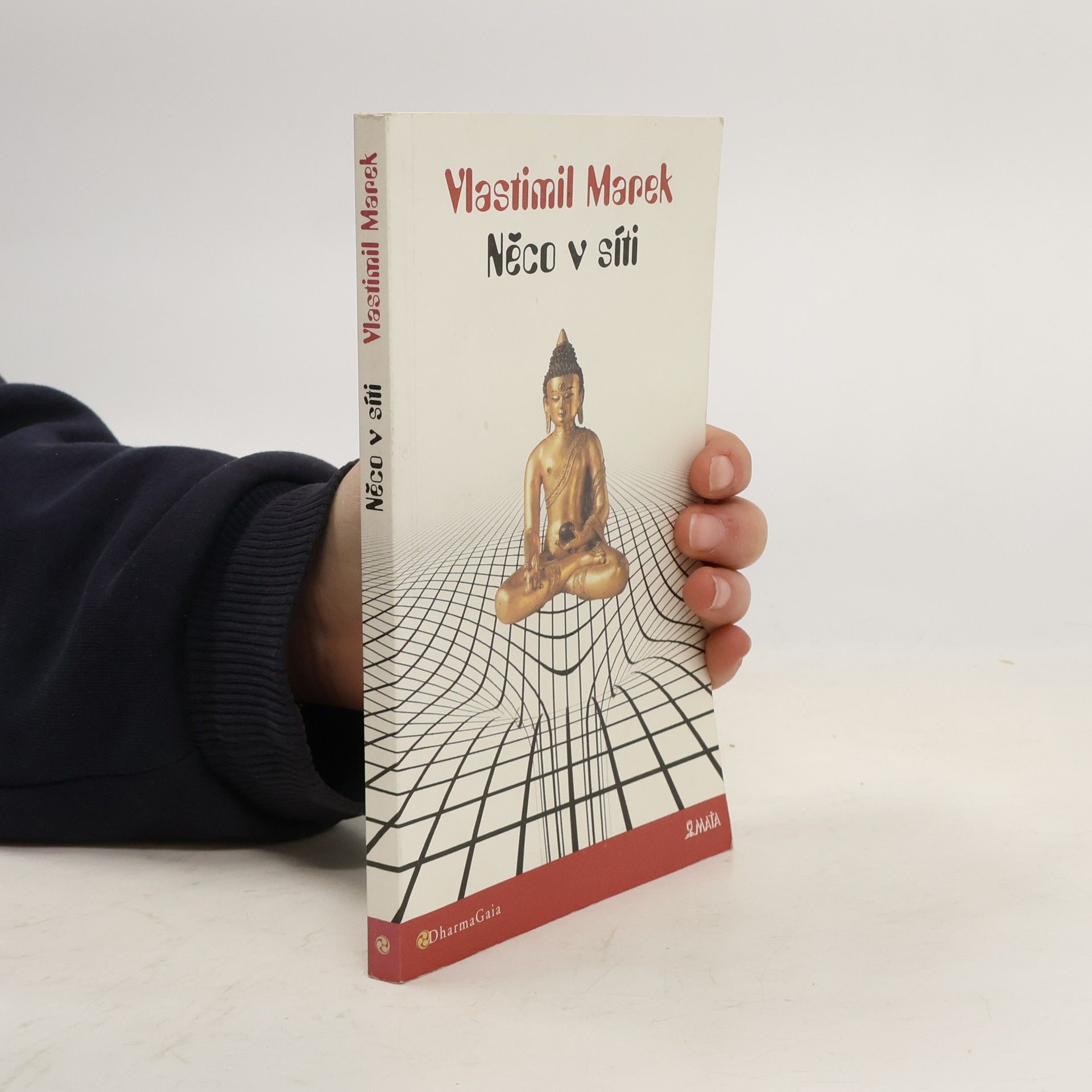 Vlastimil Marek Něco v síti