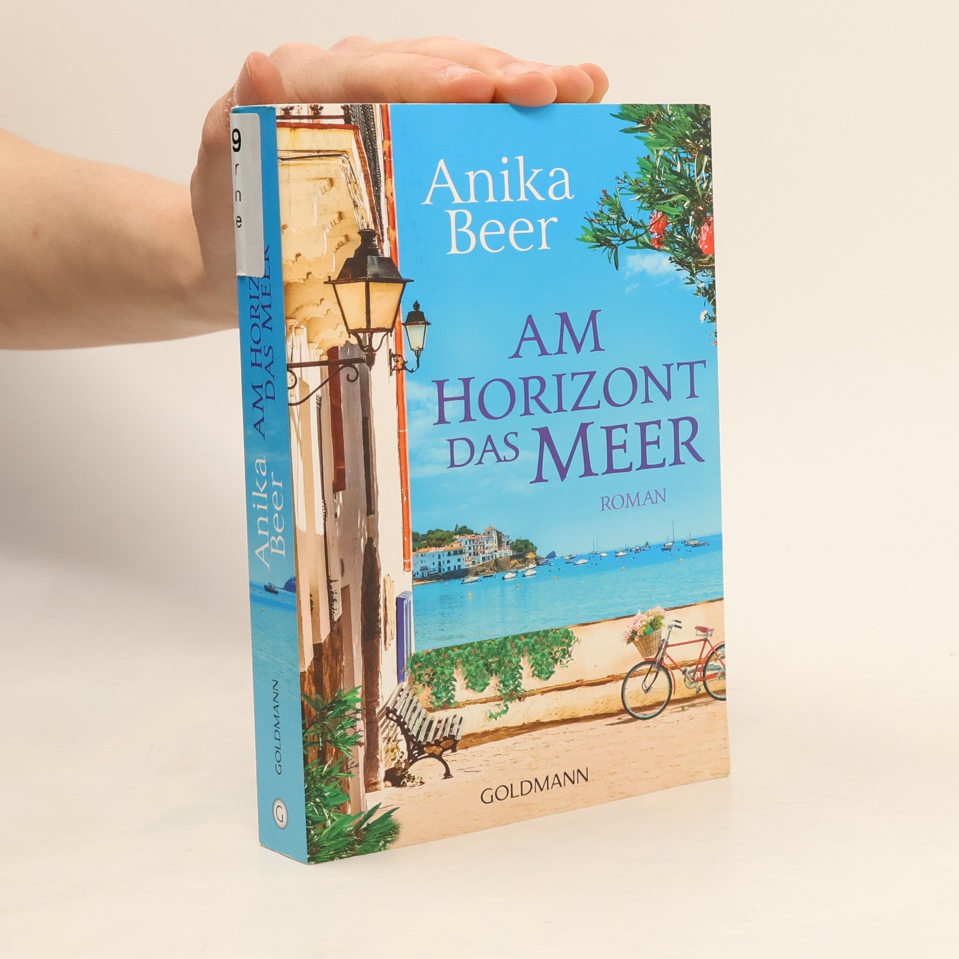 Anika Beer Am Horizont das Meer