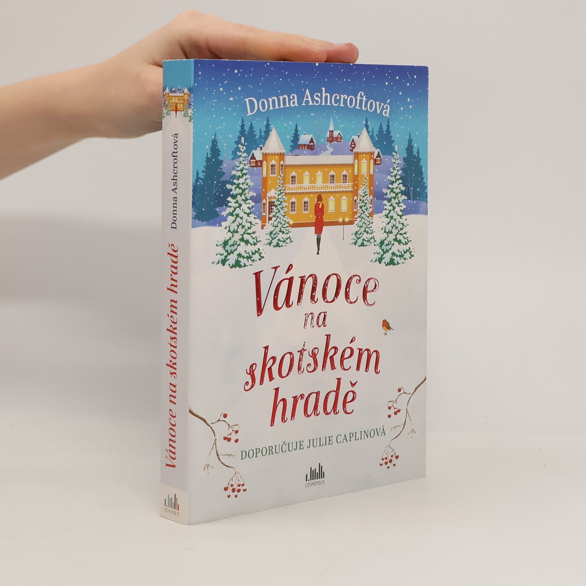 Donna Ashcroft Vánoce na skotském hradě