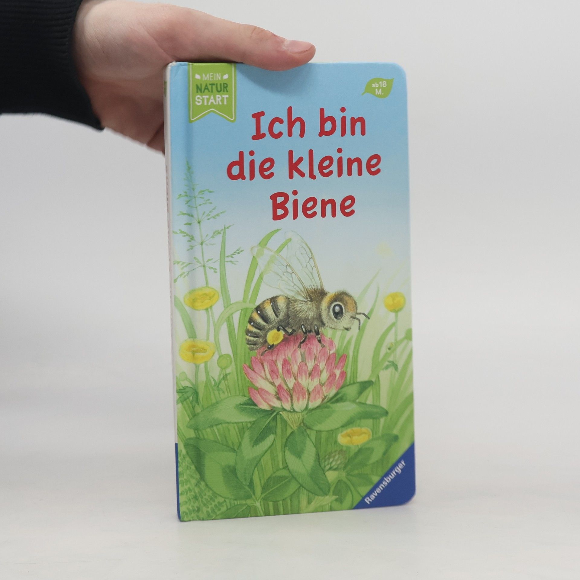 Sandra Grimm Ich bin die kleine Biene