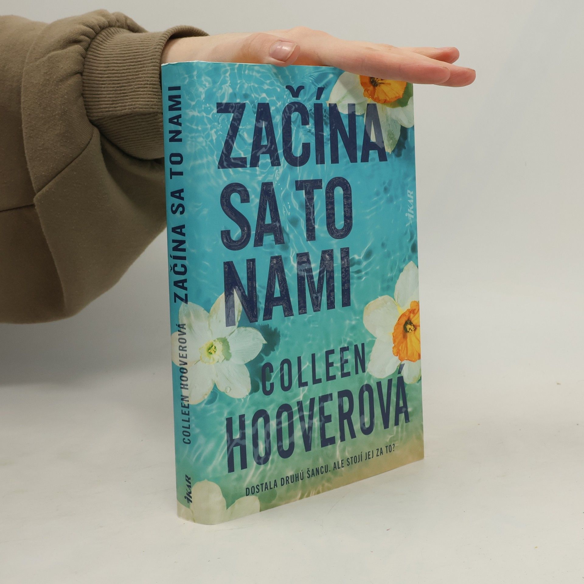 Colleen Hoover Začína sa to nami