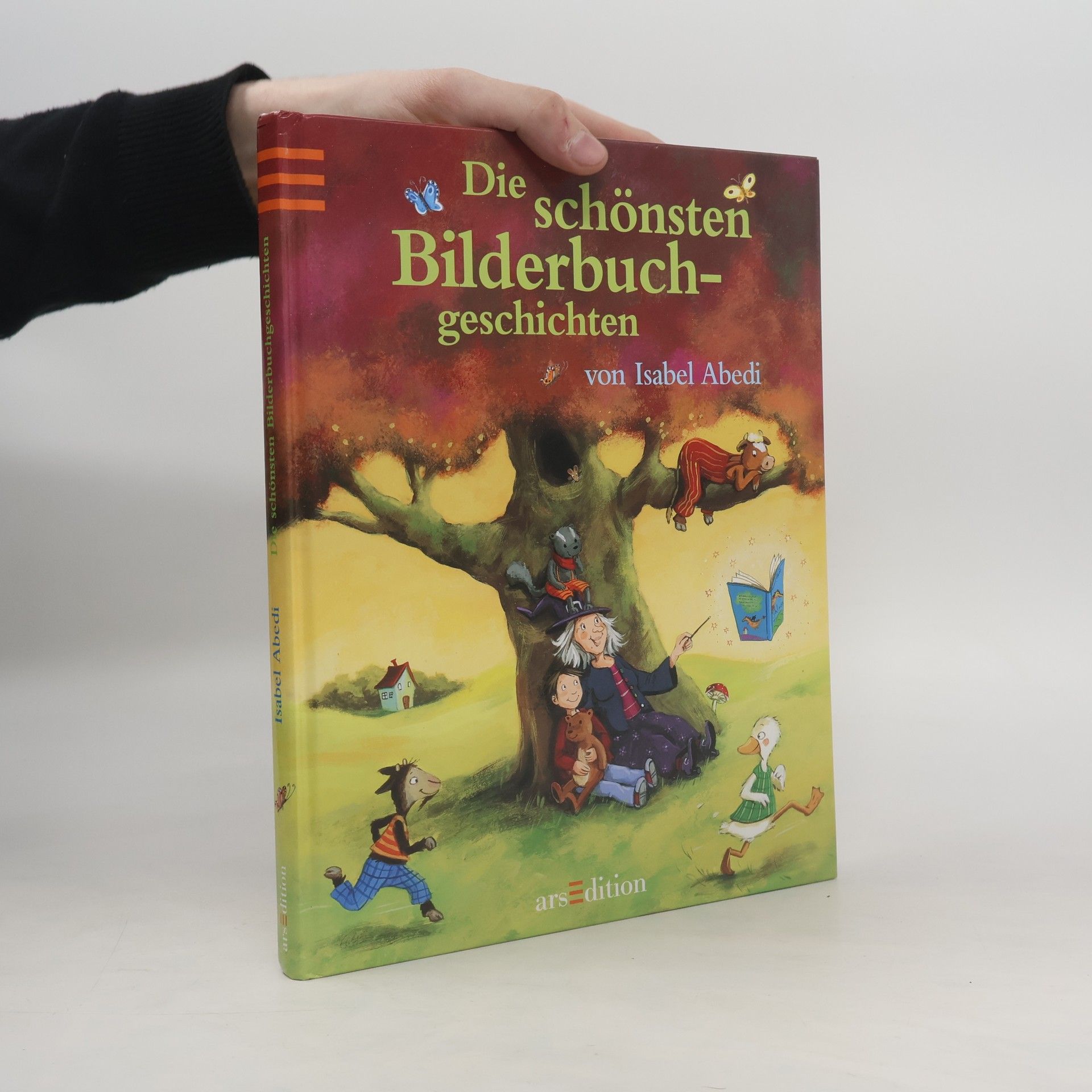 Isabel Abedi Die schönsten Bilderbuchgeschichten