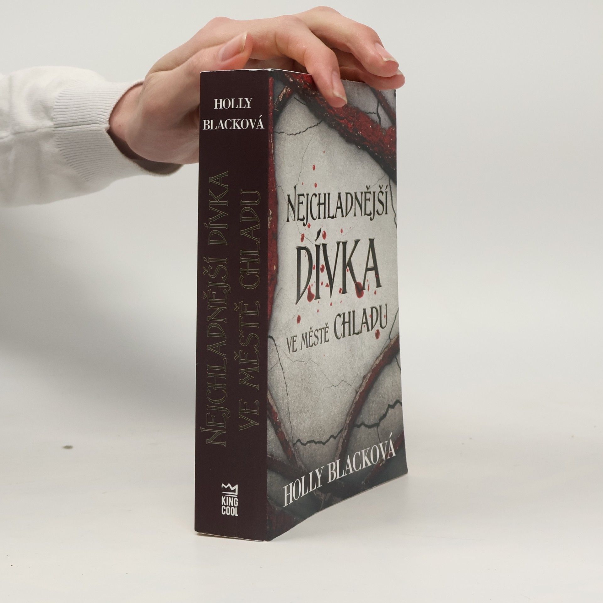 Holly Black Nejchladnější dívka ve městě chladu