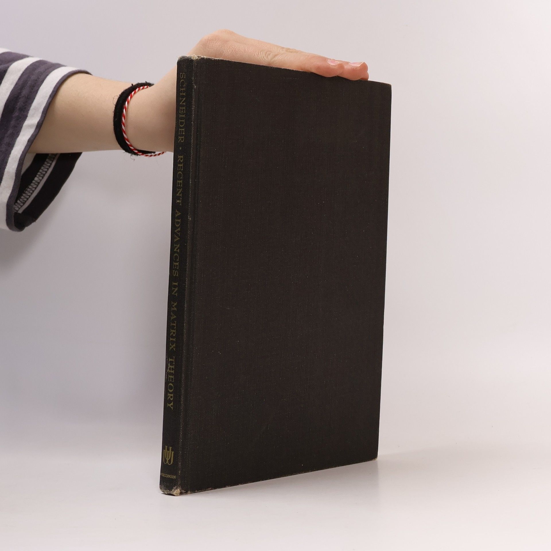 Recent Advances in Matrix Theory