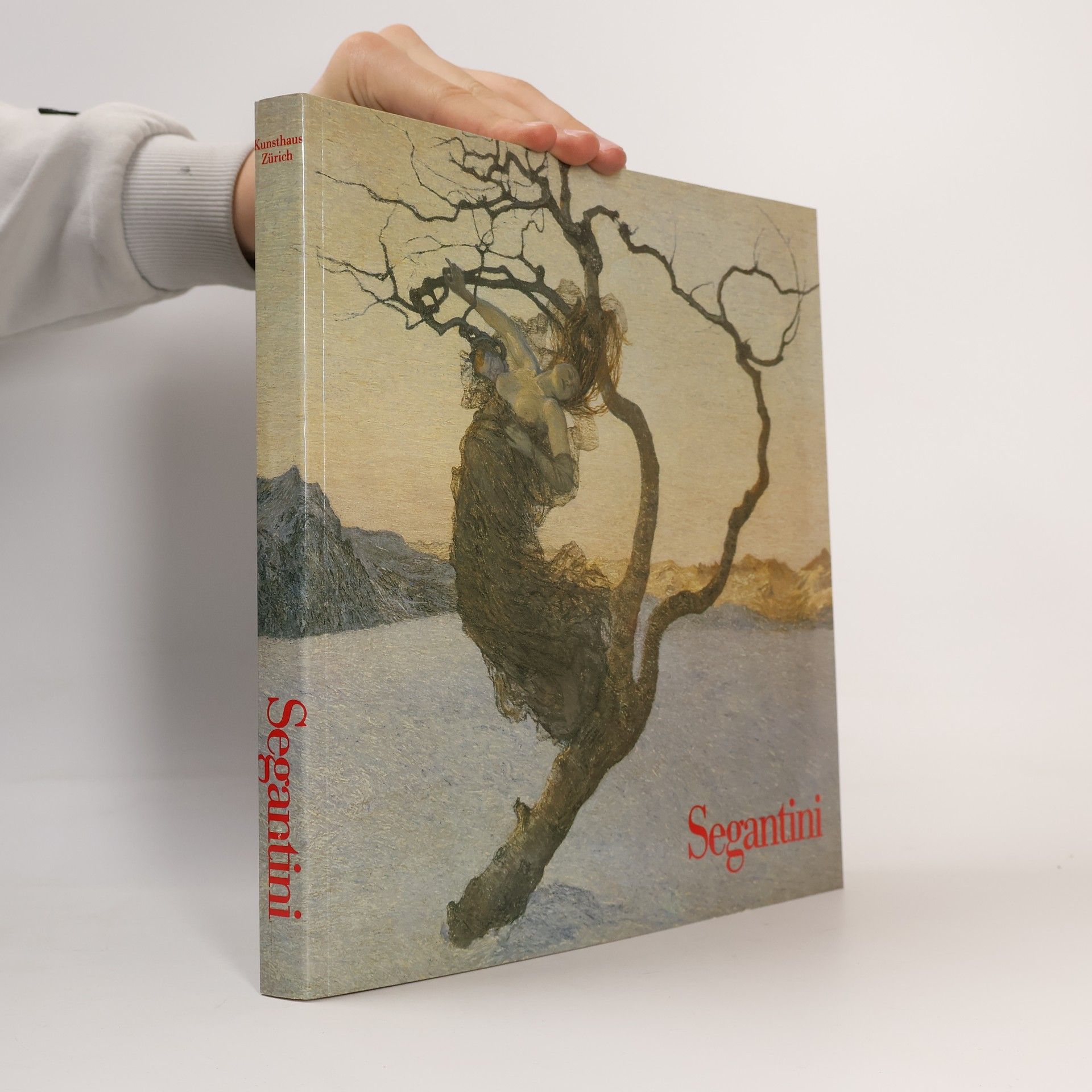 Autorenkollektiv Segantini