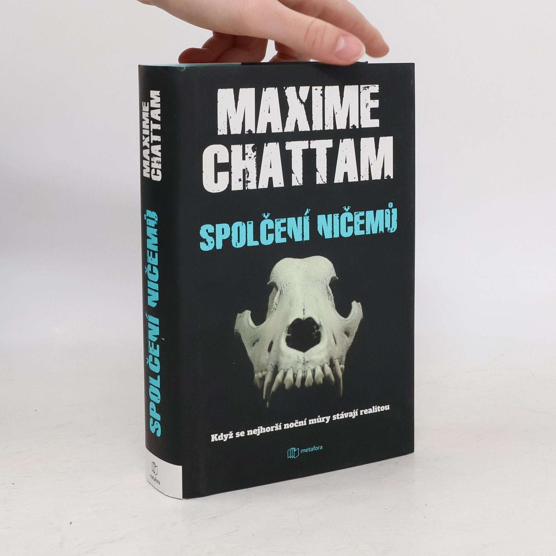Maxime Chattam Spolčení ničemů