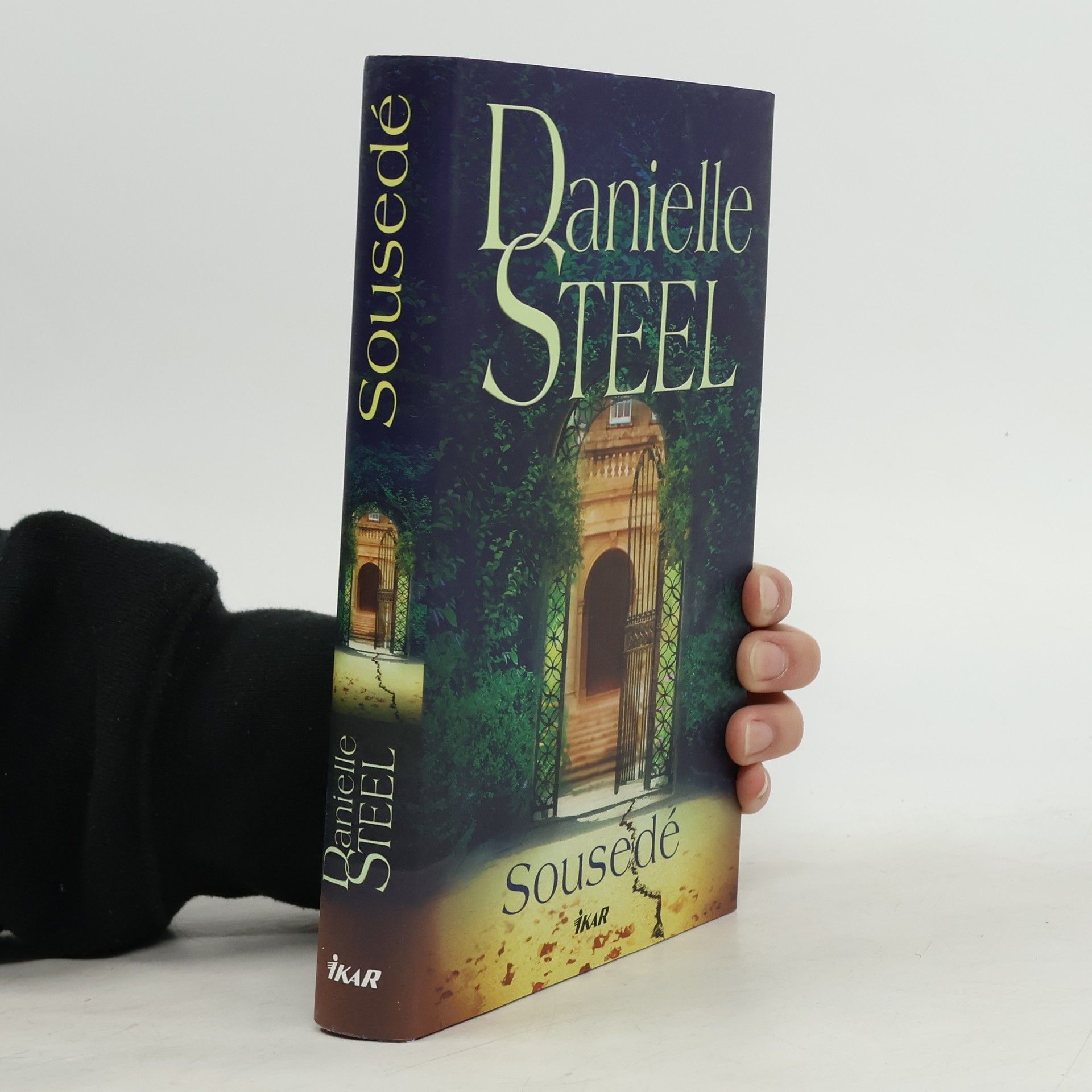 Danielle Steel Sousedé