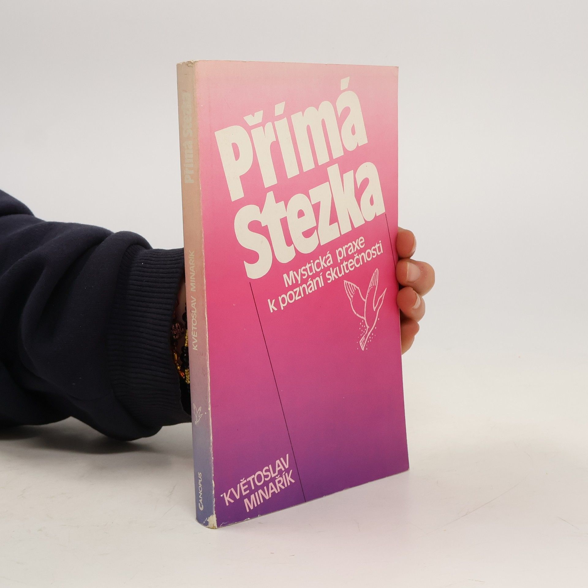 Květoslav Minařík Přímá stezka