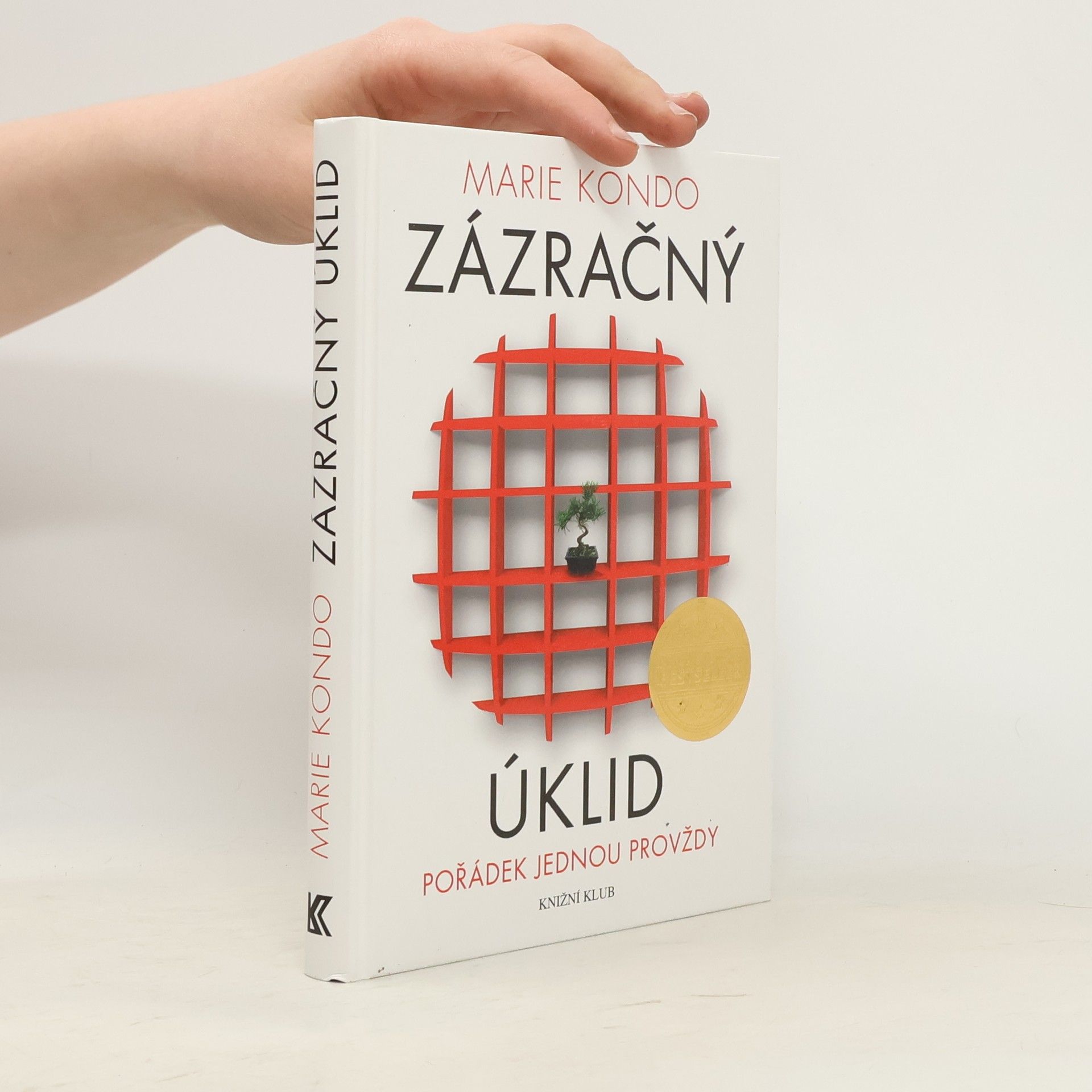 Marie Kondo Zázračný úklid