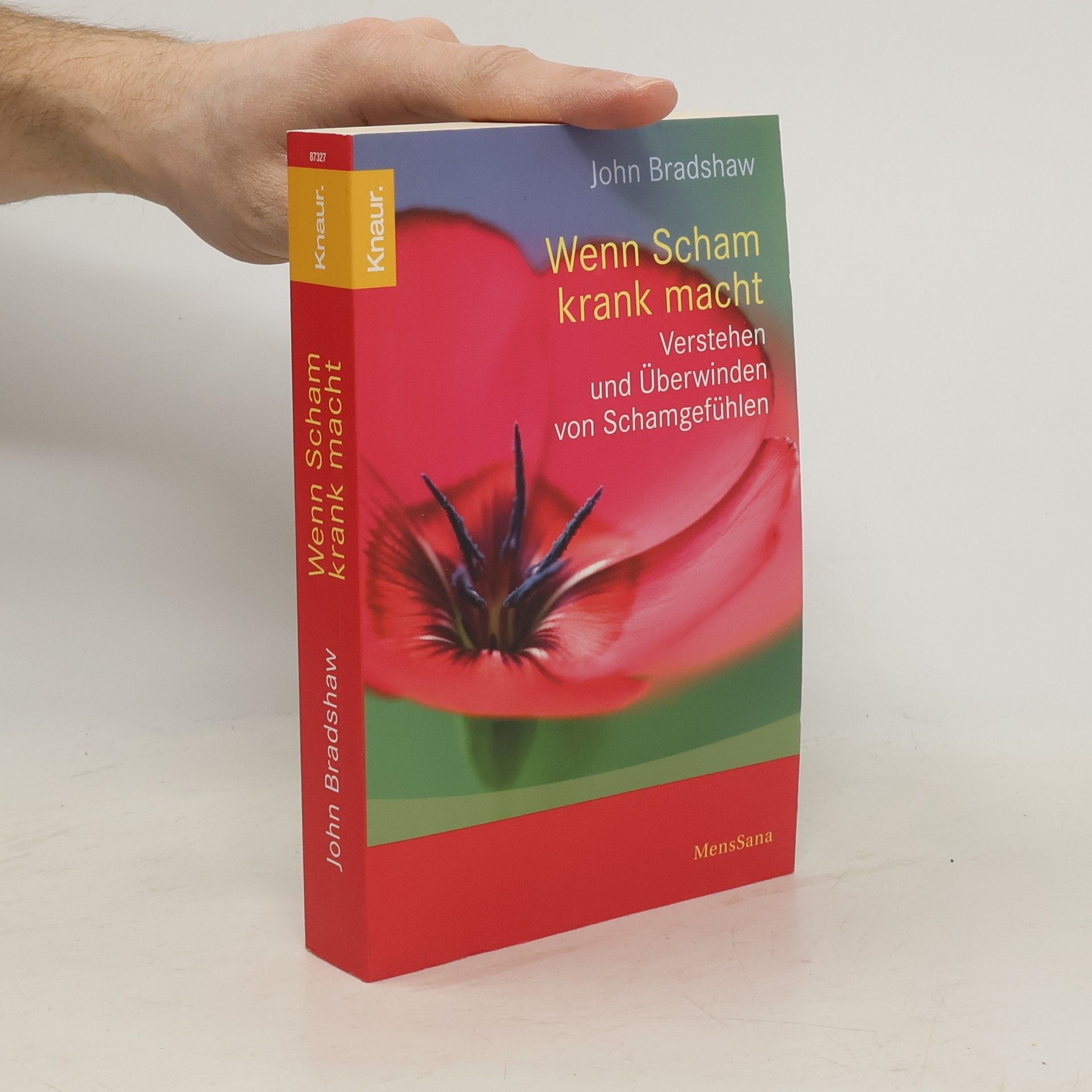 John Bradshaw Wenn Scham krank macht