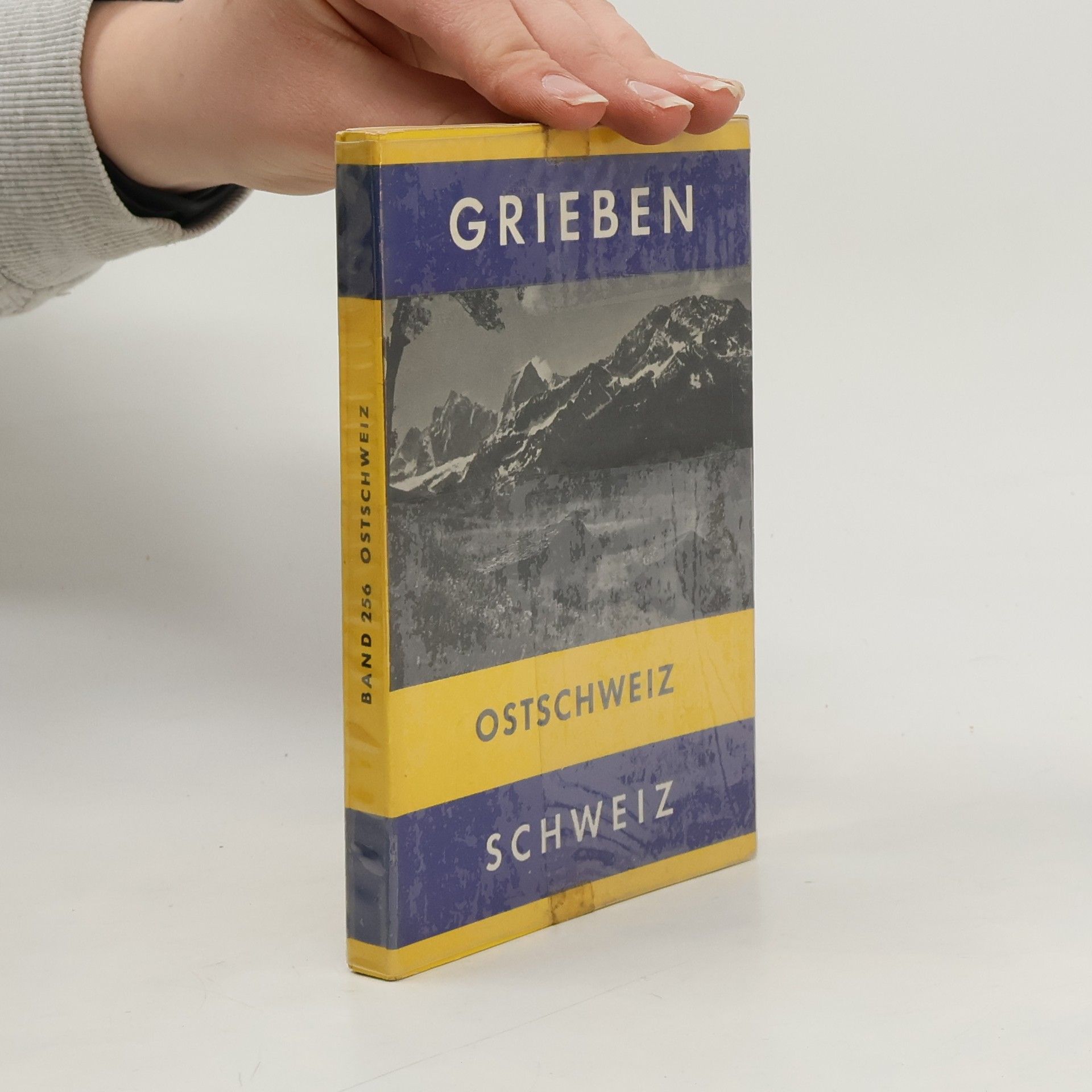 Kolektiv autorů Ostschweiz