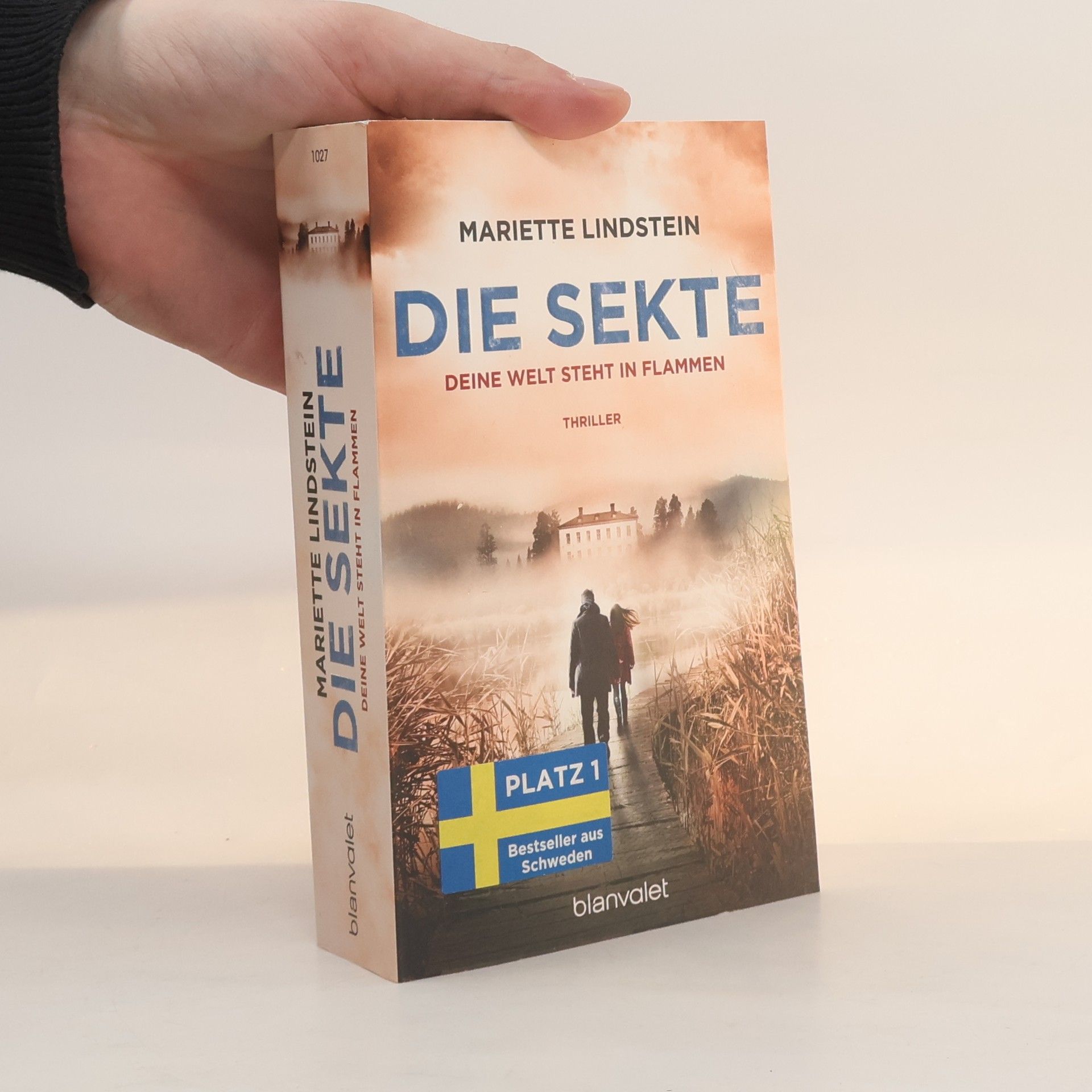 Mariette Lindstein Die Sekte: Deine Welt steht in Flammen