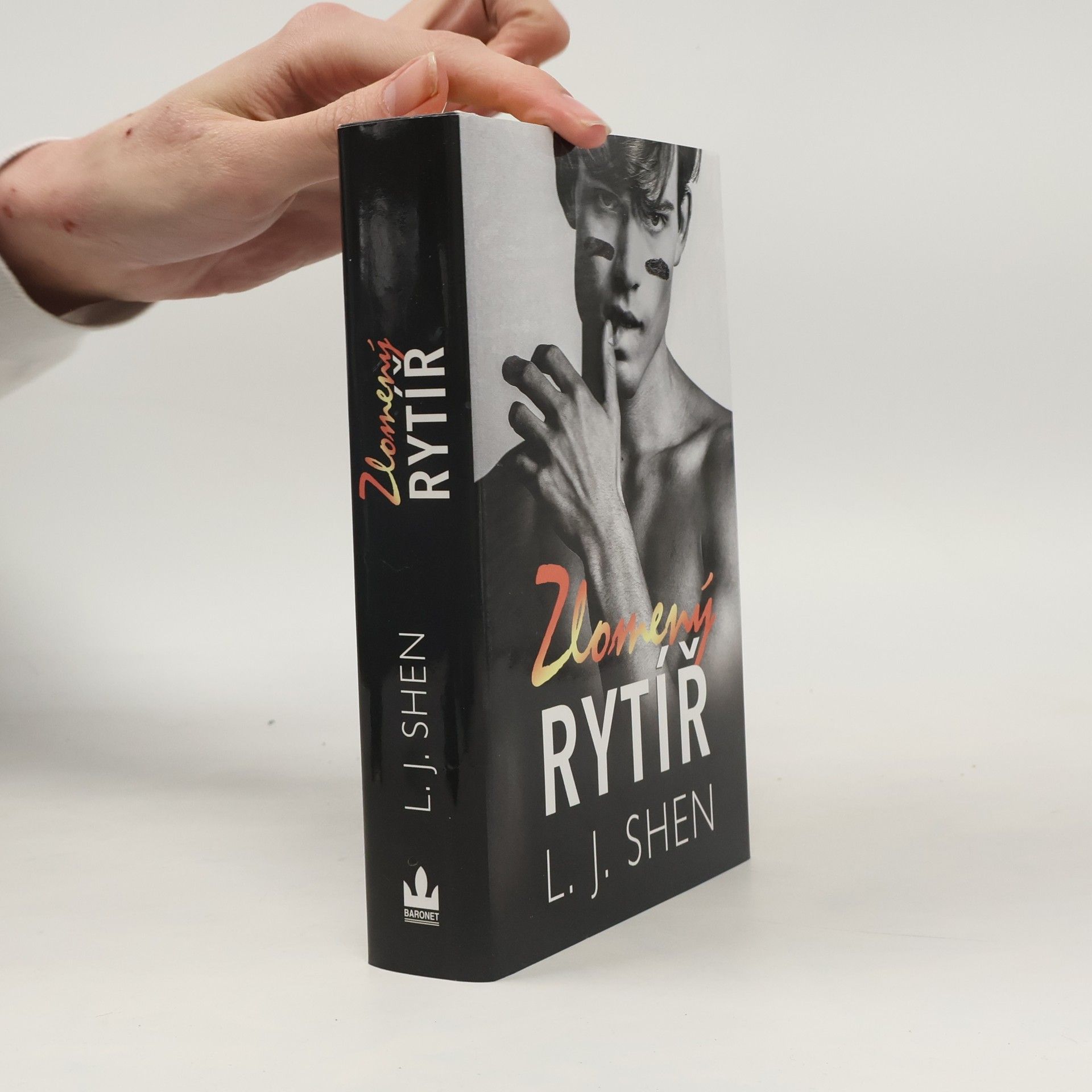 L. J. Shen Zlomený rytíř