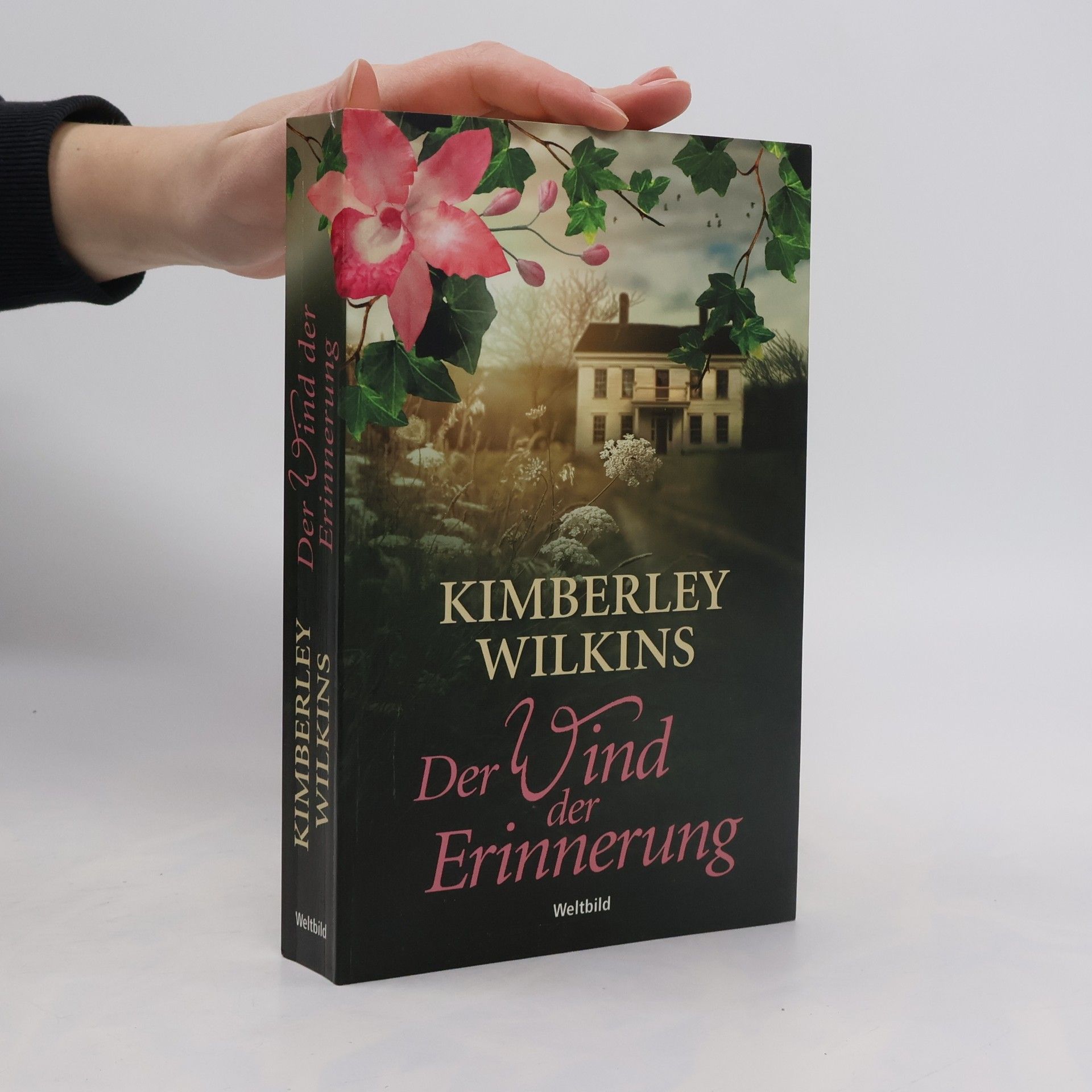 Kimberley Wilkins Der Wind der Erinnerung