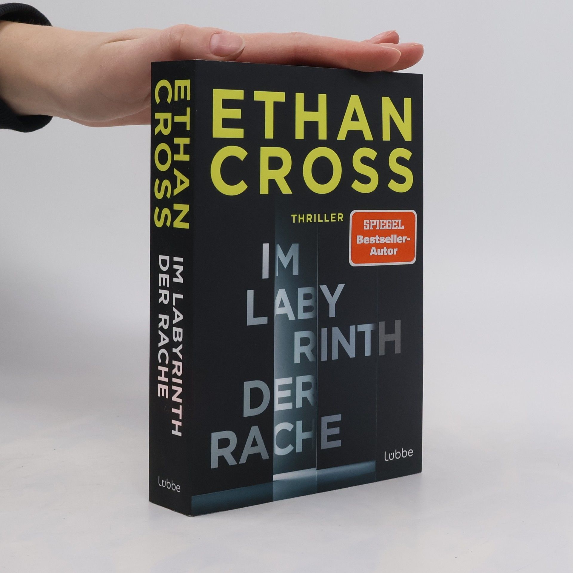 Ethan Cross Im Labyrinth der Rache. Thriller