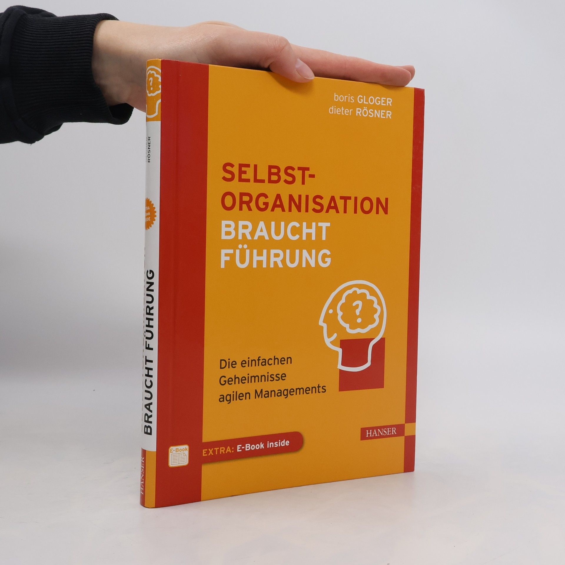 Boris Gloger Selbstorganisation braucht Führung