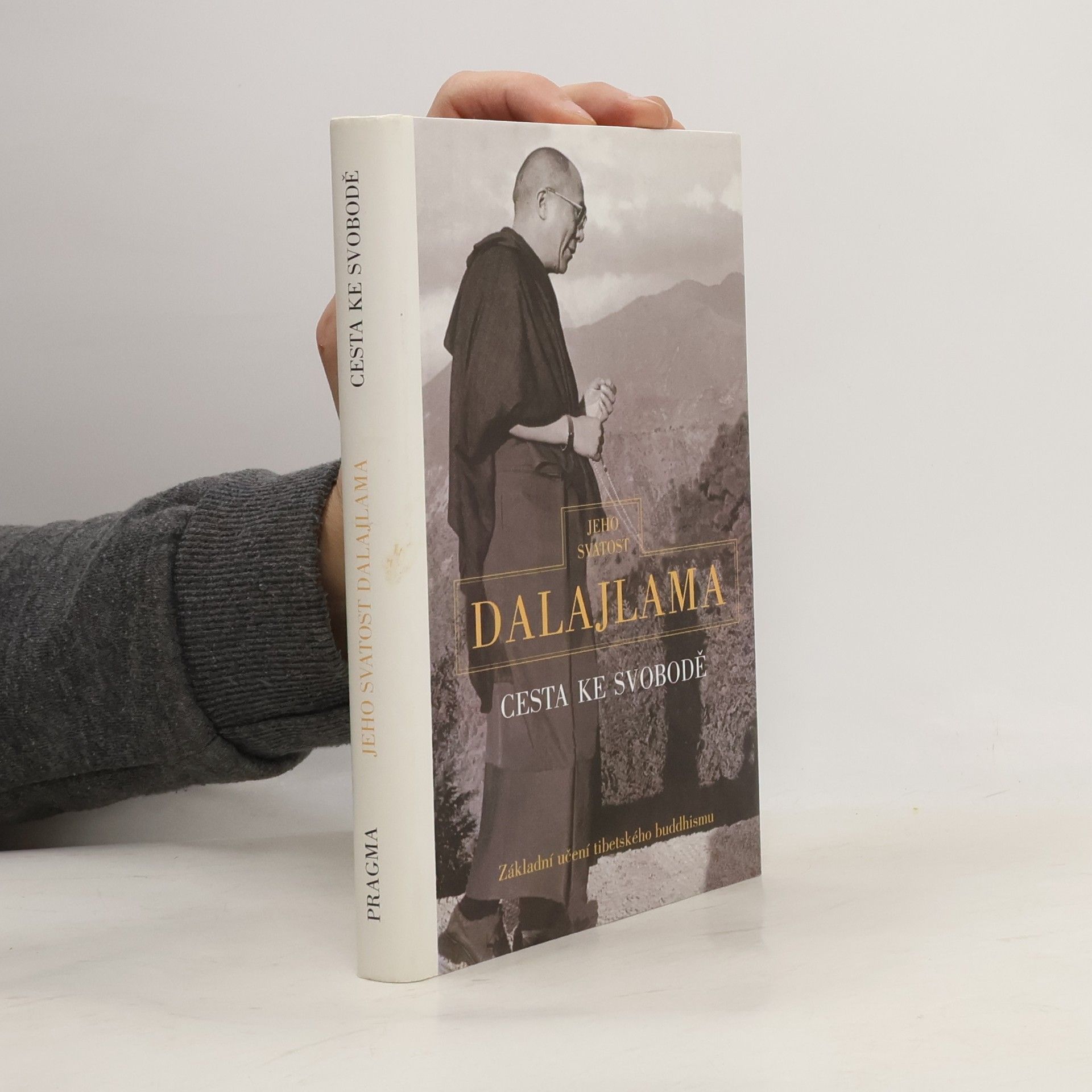 Irena Janovcová Cesta ke svobodě