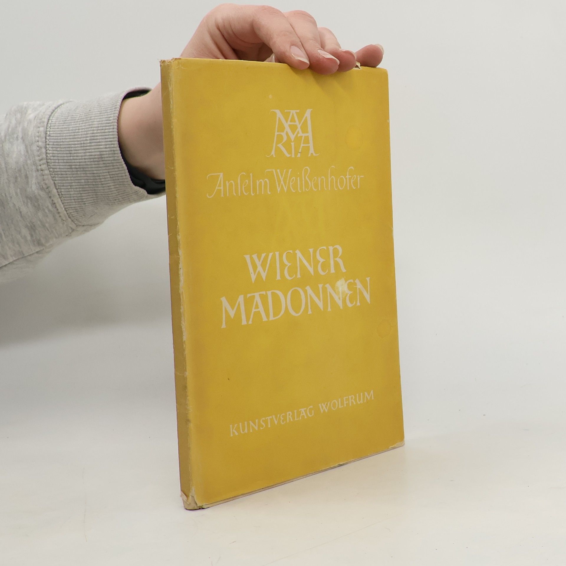 Autorenkollektiv Wiener Madonnen